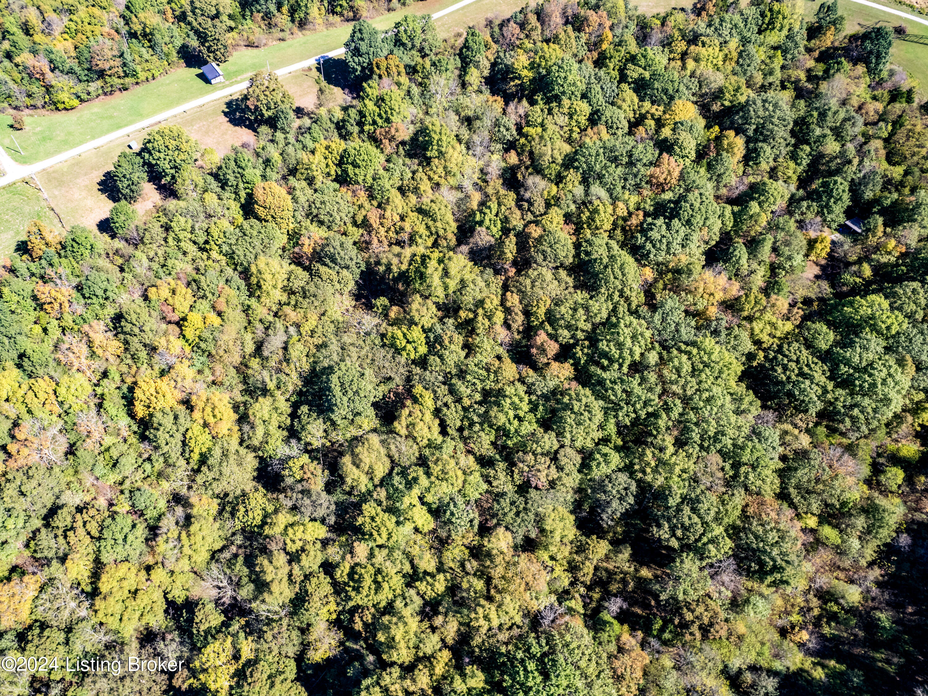 Tr 17 Scrabble Road, Bagdad, Kentucky image 9