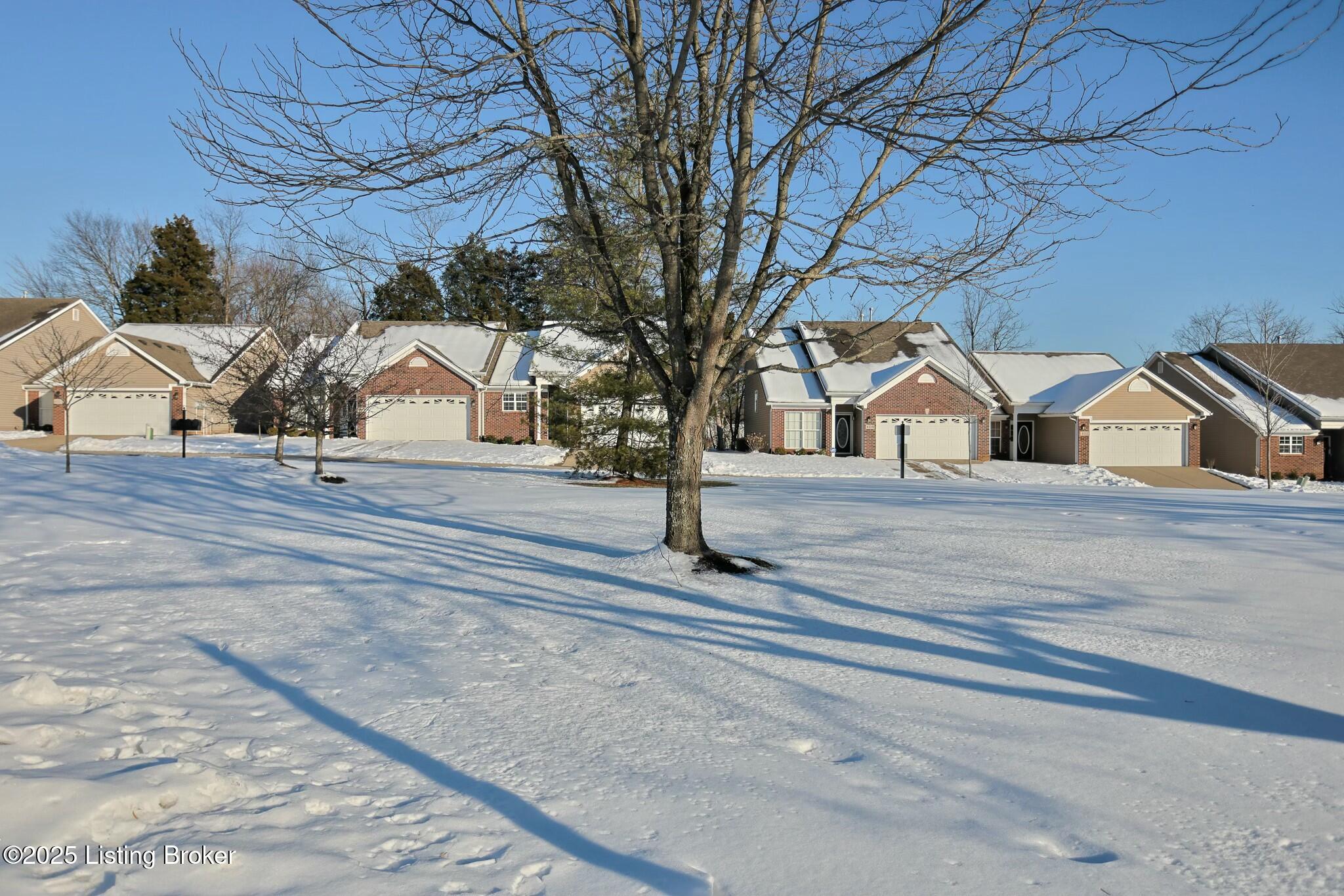 6820 Arbor Manor Way, Louisville, Kentucky image 5
