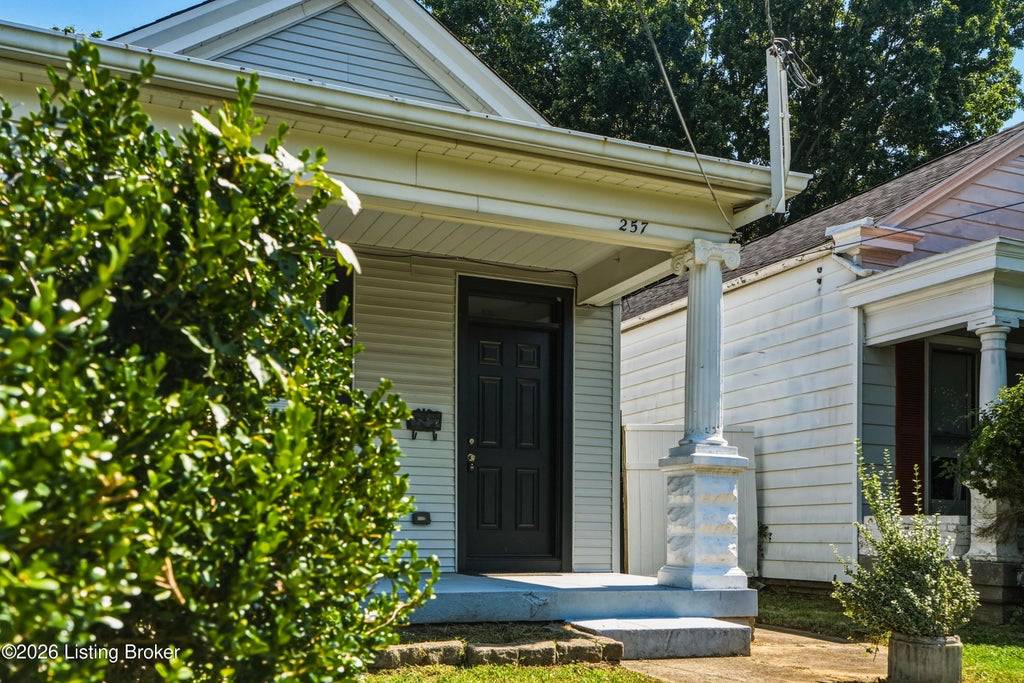Photo of 257 Delmont Ave, Louisville, KY 40206 (MLS # 1732952)