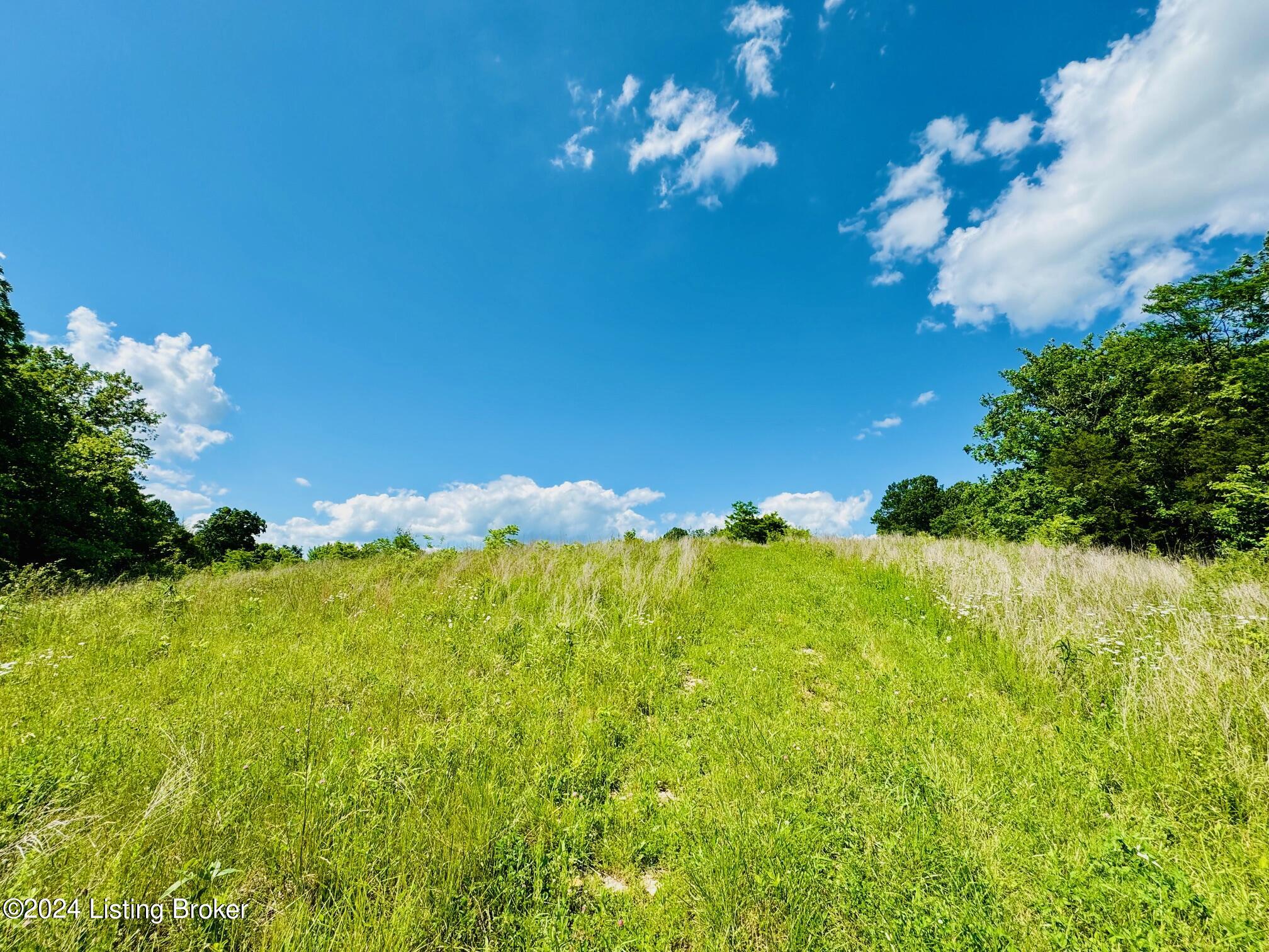 2020 Long Run Rd, Springfield, Kentucky image 43