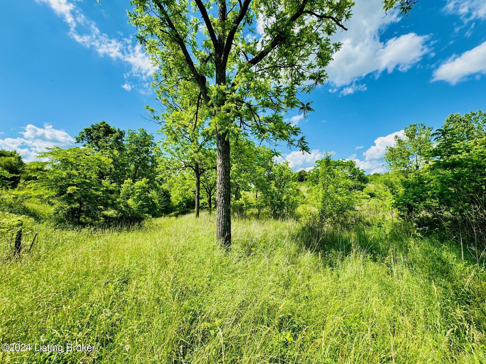 2020 Long Run Rd, Springfield, Kentucky image 40