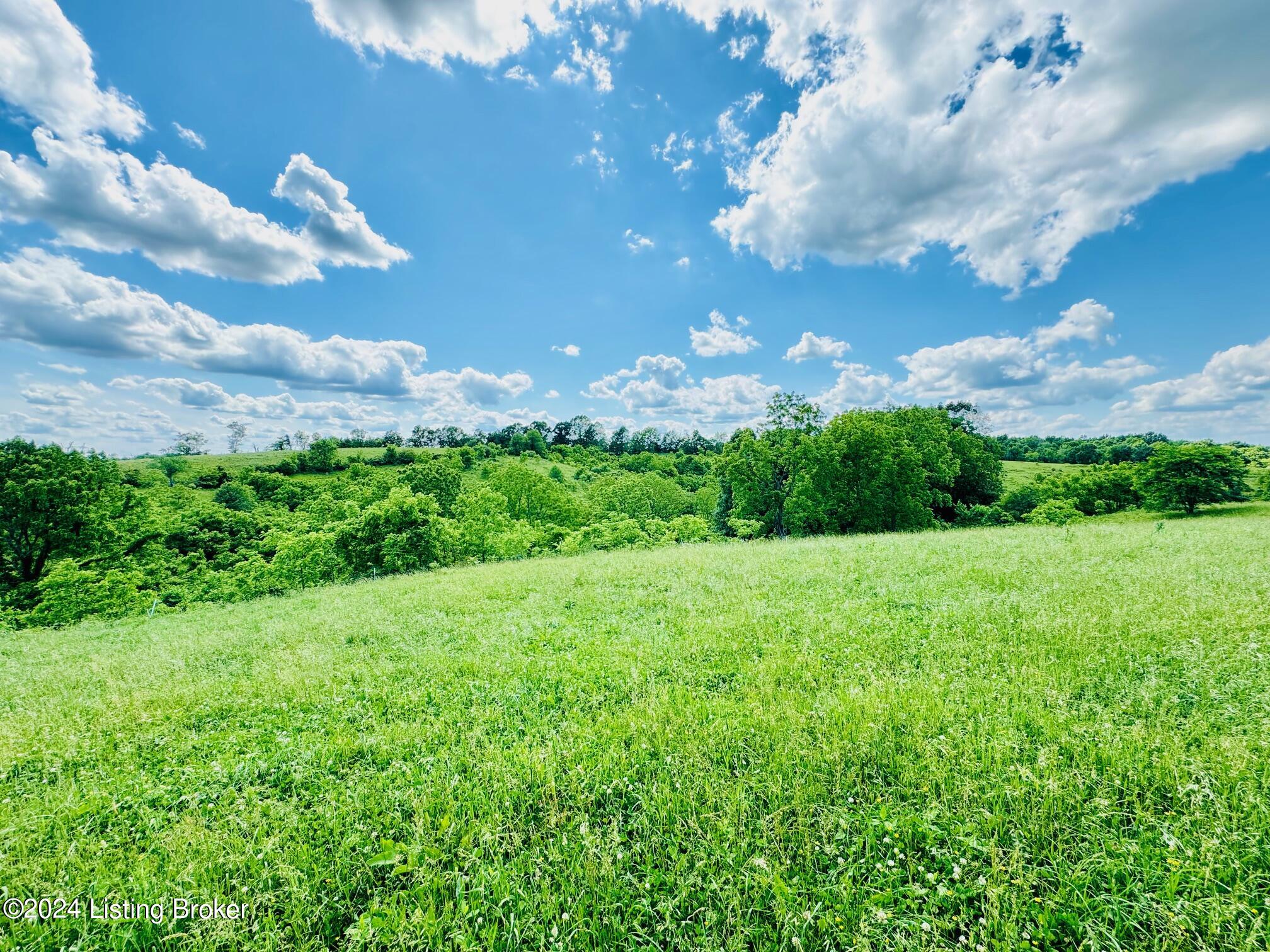 2020 Long Run Rd, Springfield, Kentucky image 34