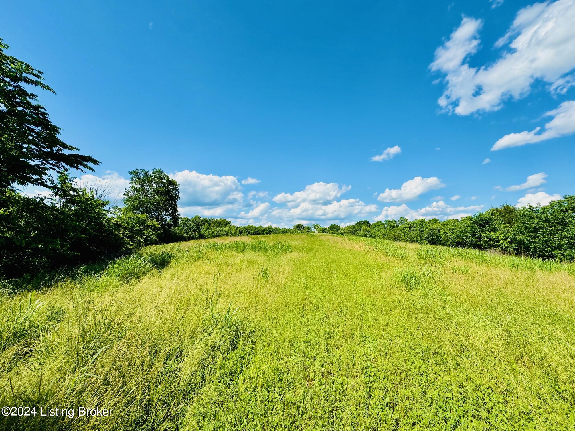 2020 Long Run Rd, Springfield, Kentucky image 46