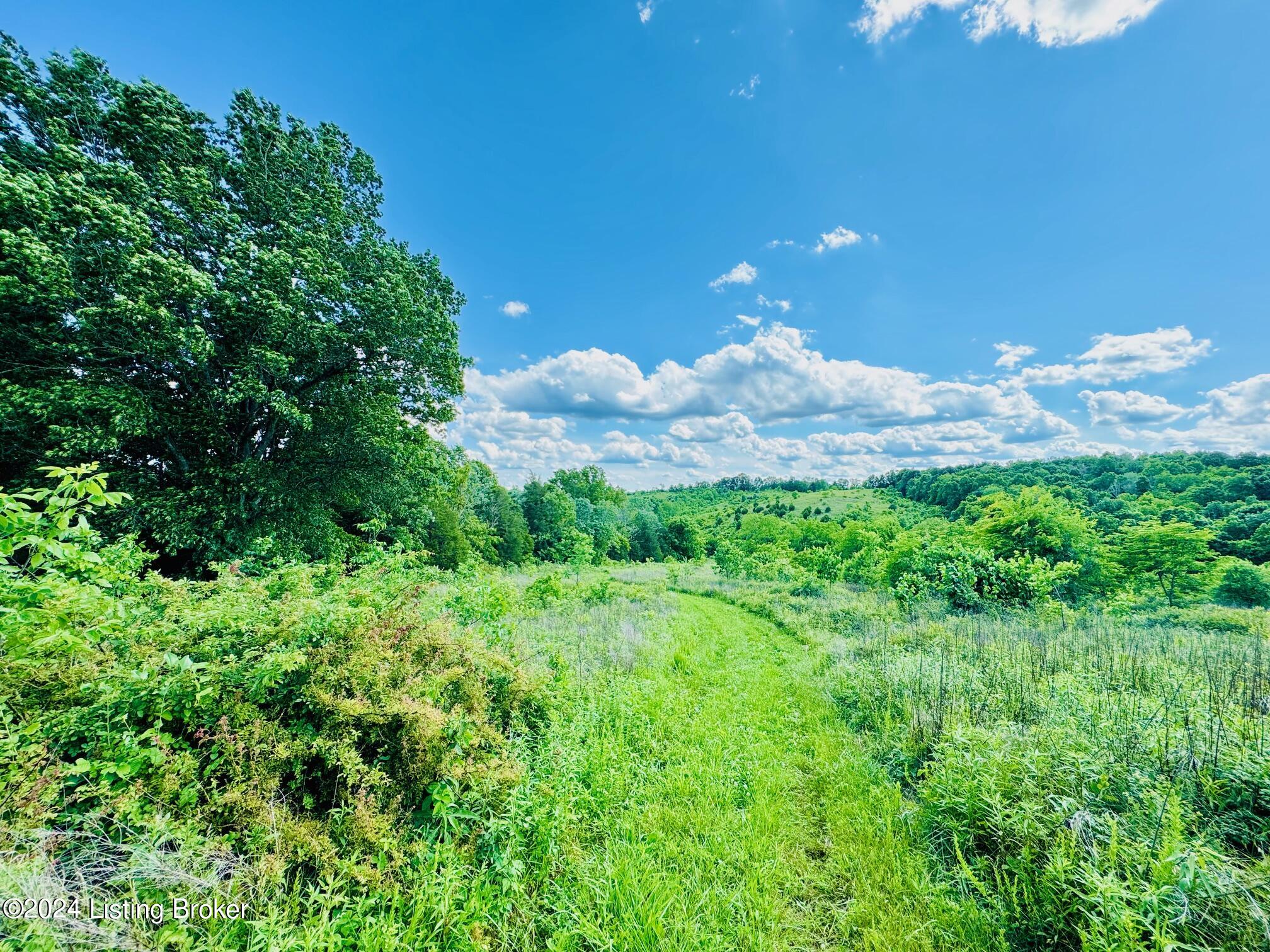 2020 Long Run Rd, Springfield, Kentucky image 48