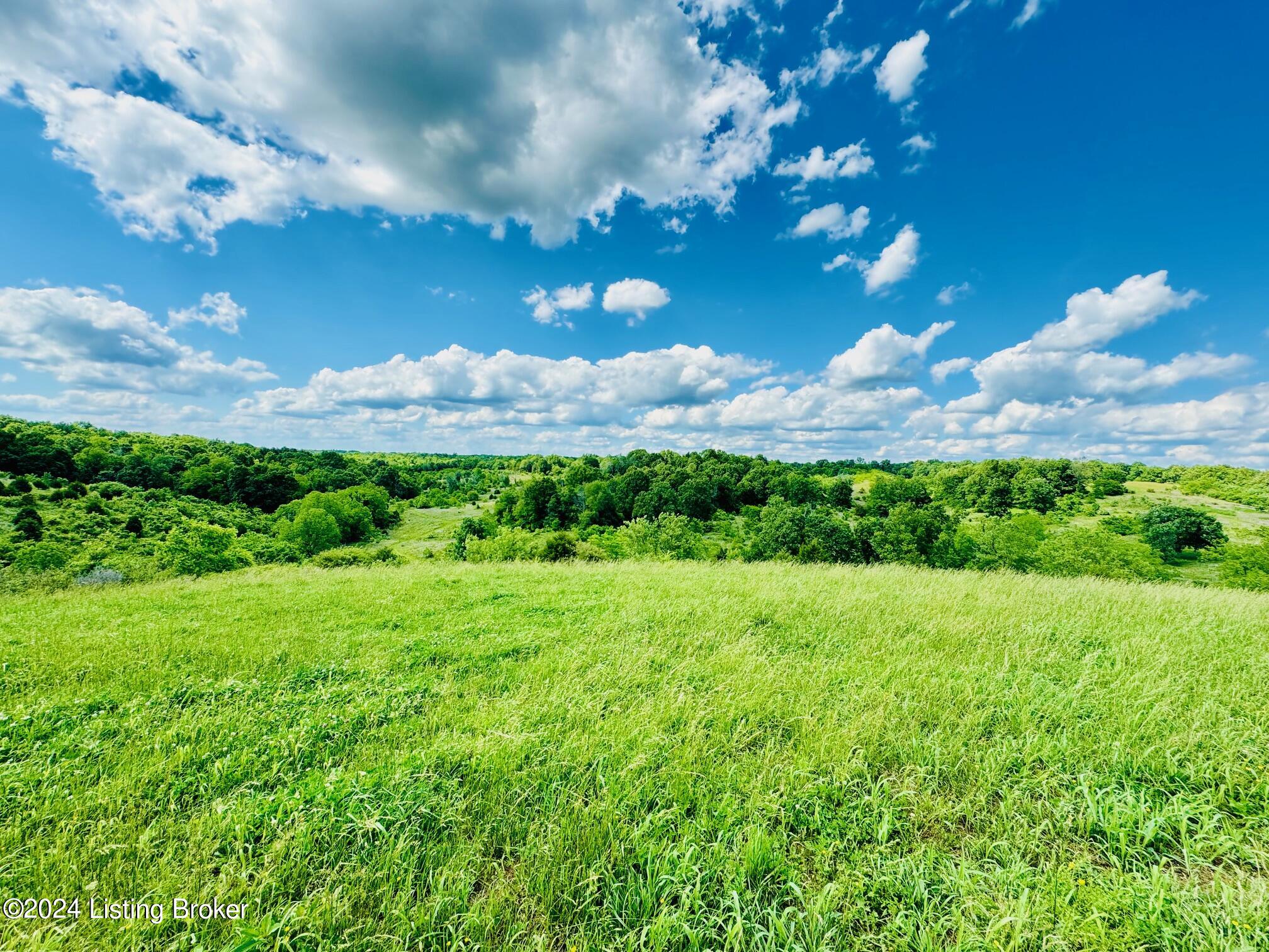 2020 Long Run Rd, Springfield, Kentucky image 37