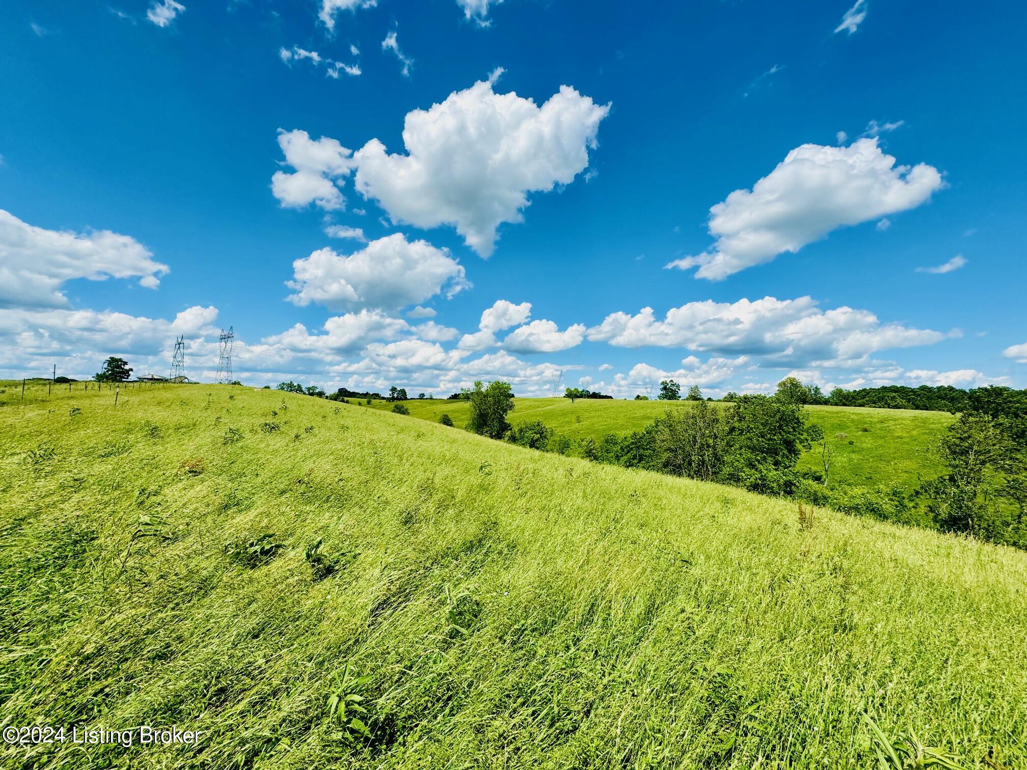 2020 Long Run Rd, Springfield, Kentucky image 26