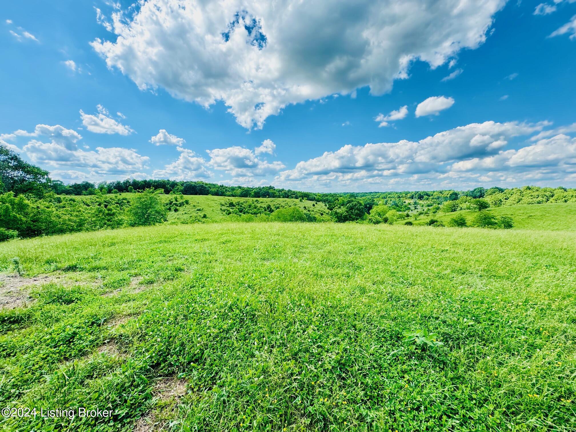 2020 Long Run Rd, Springfield, Kentucky image 35