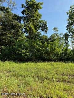 Vacant Land For Sale - 5205 Sycamore Ridge Ln<br/> La Grange, KY 40031