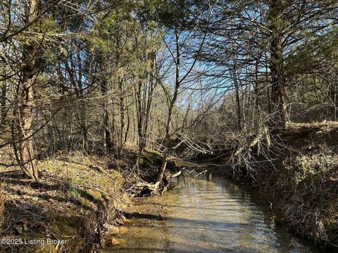 Vacant Land For Sale - LOT 16 Duvall Rd<br/> Grayson County, Caneyville, KY 42721