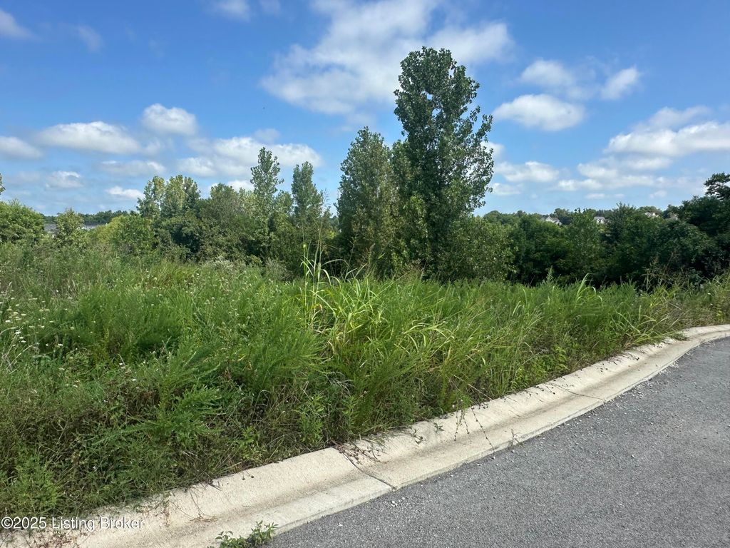 Photo of 2715 Tarpon Dr, La Grange, KY 40031 (MLS # 1693860)