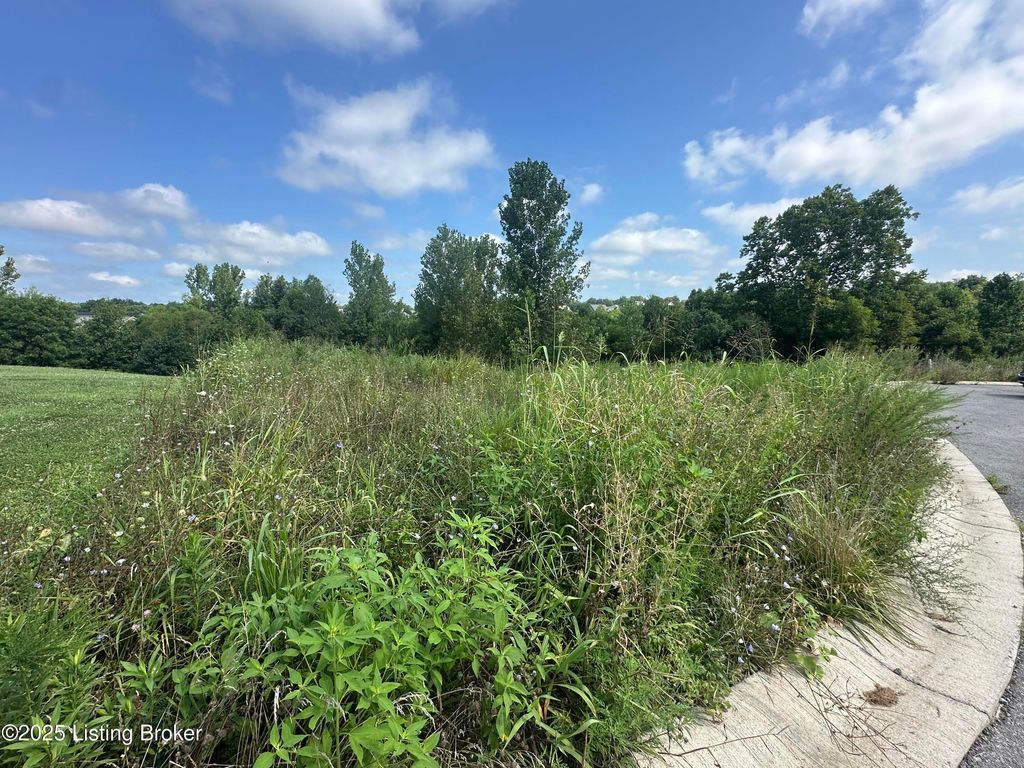 Photo of 2715 Tarpon Dr, La Grange, KY 40031 (MLS # 1693860)