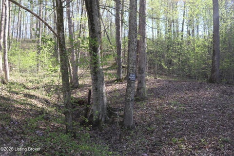 Vacant Land For Sale - 3 Oakmont Bay Dr<br/> Bee Spring, KY 42207