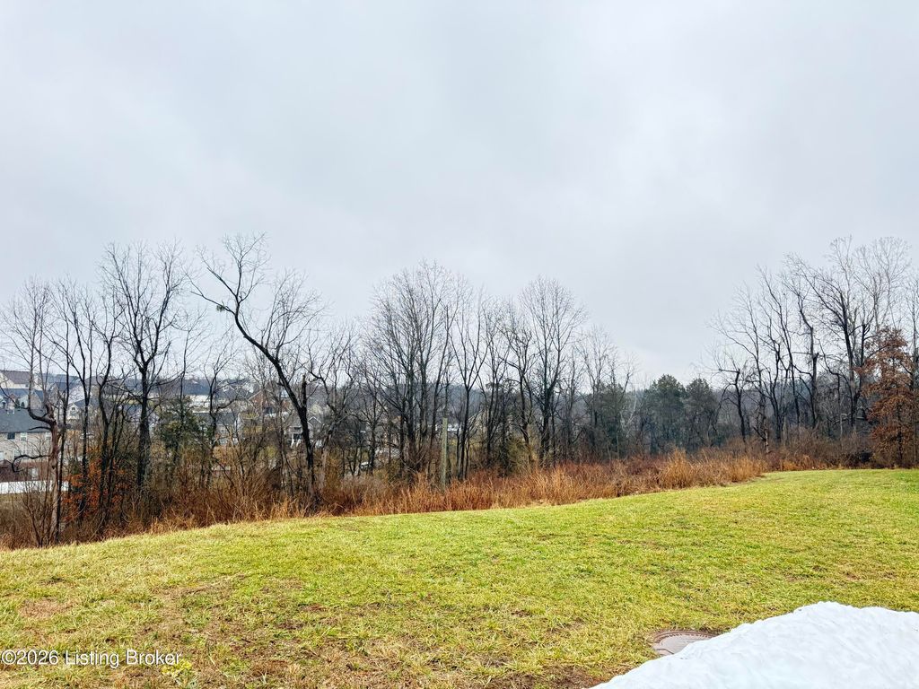 Photo of 6306 Pheasant Hill Ct, Louisville, KY 40229 (MLS # 1709088)