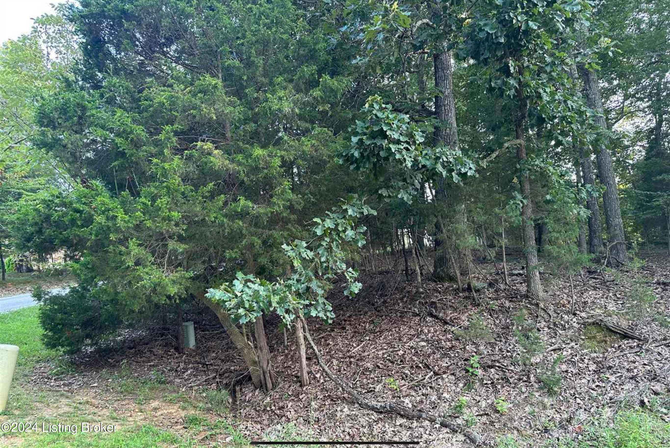 Lot #539 Strawberry Hill Drive Dr, Brandenburg, Kentucky image 14