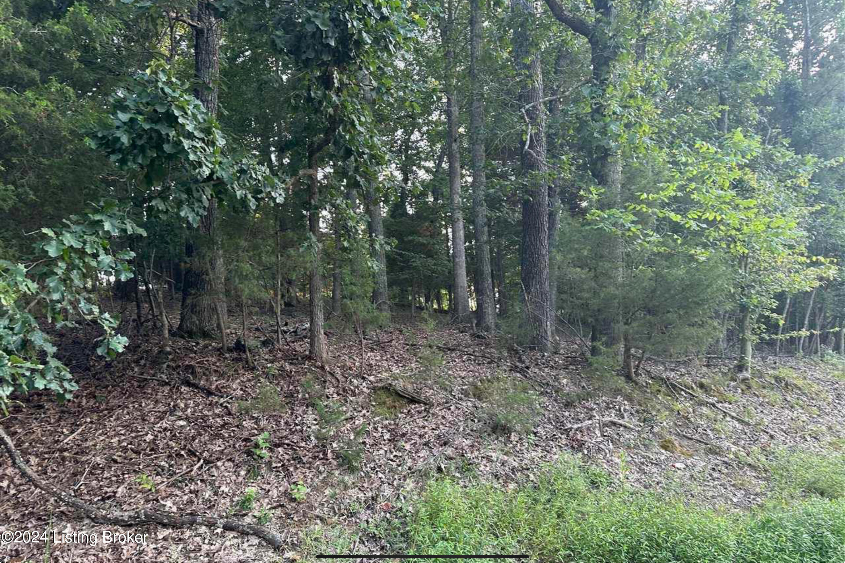 Lot #539 Strawberry Hill Drive Dr, Brandenburg, Kentucky image 4