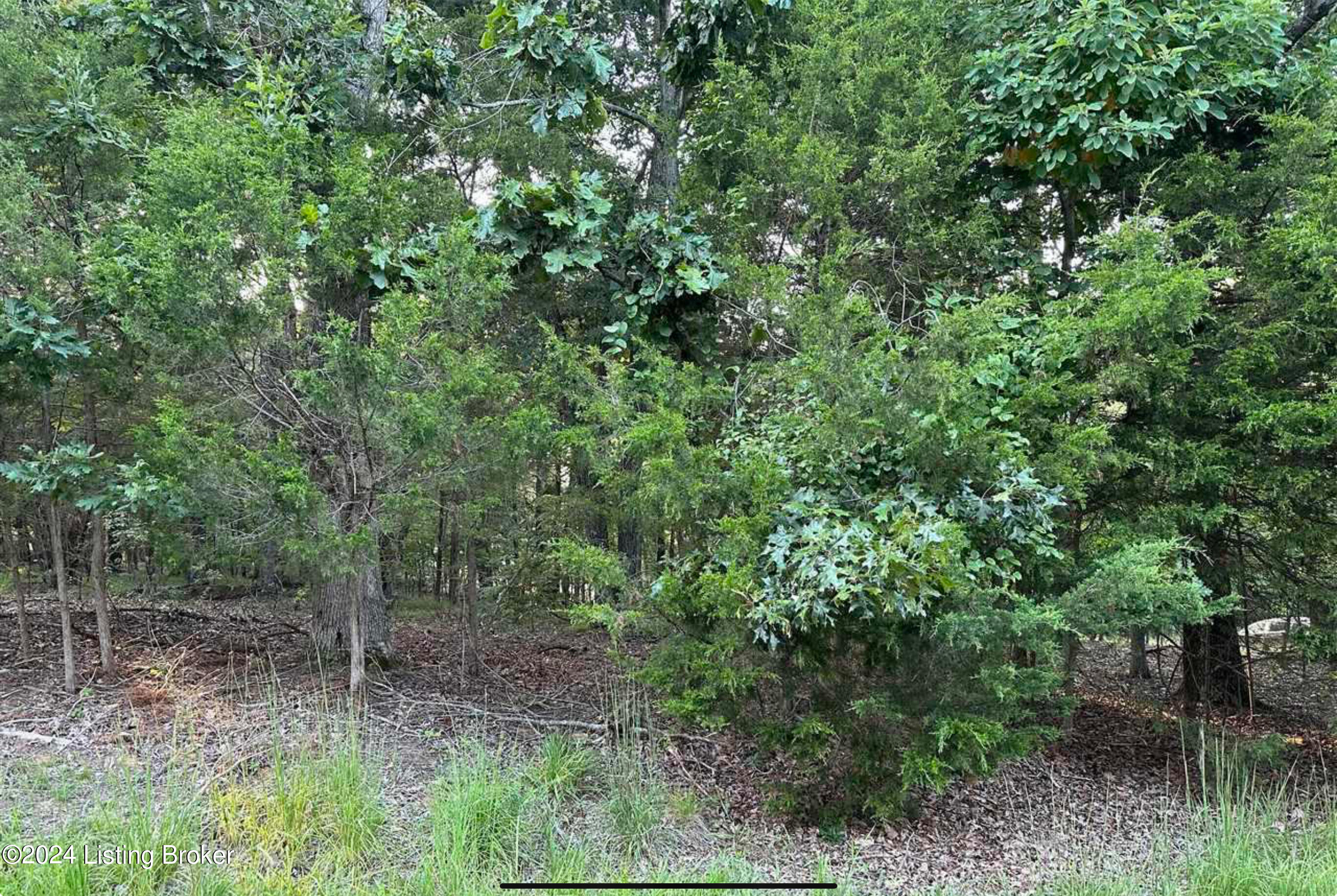 Lot #539 Strawberry Hill Drive Dr, Brandenburg, Kentucky image 13
