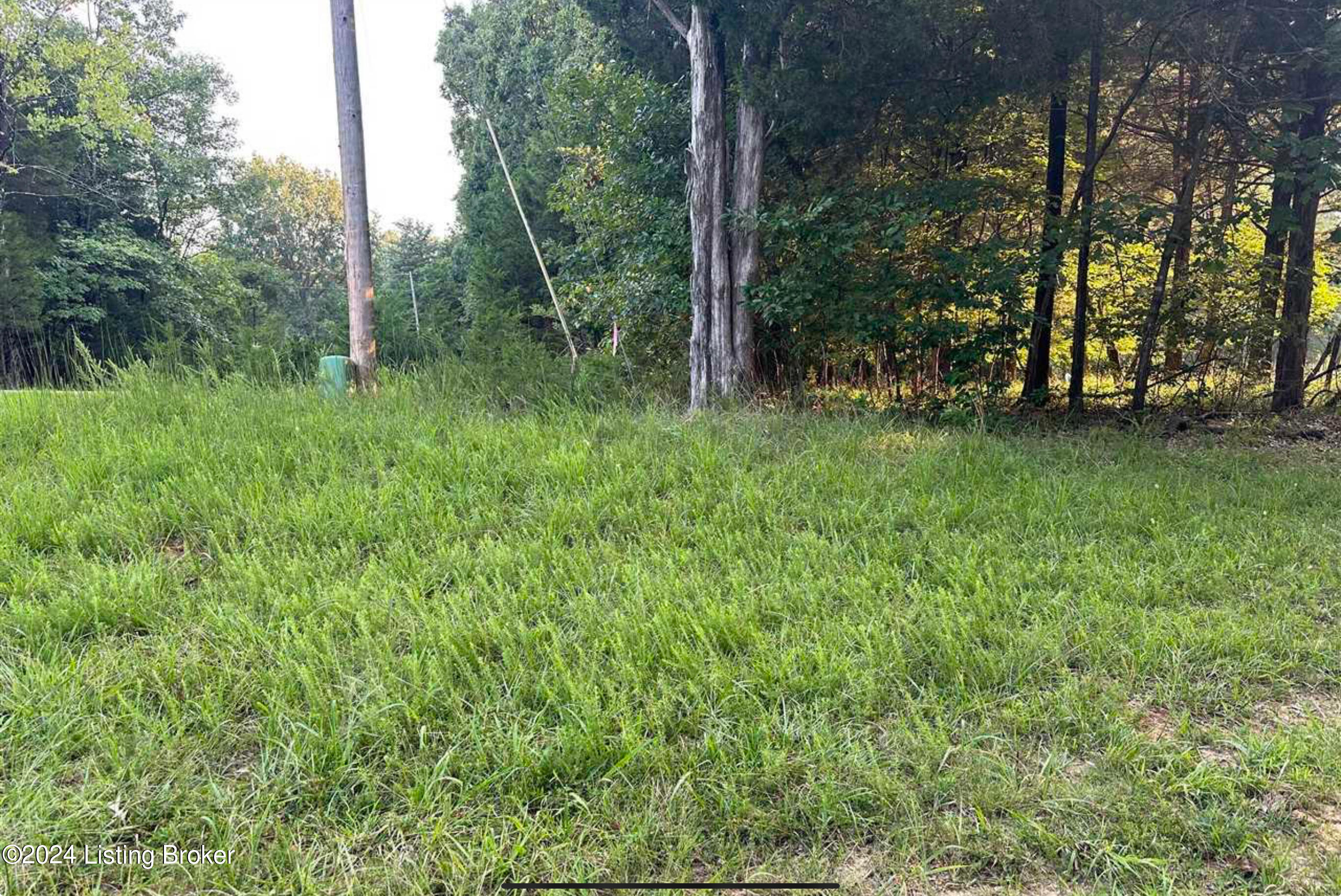 Lot #539 Strawberry Hill Drive Dr, Brandenburg, Kentucky image 9