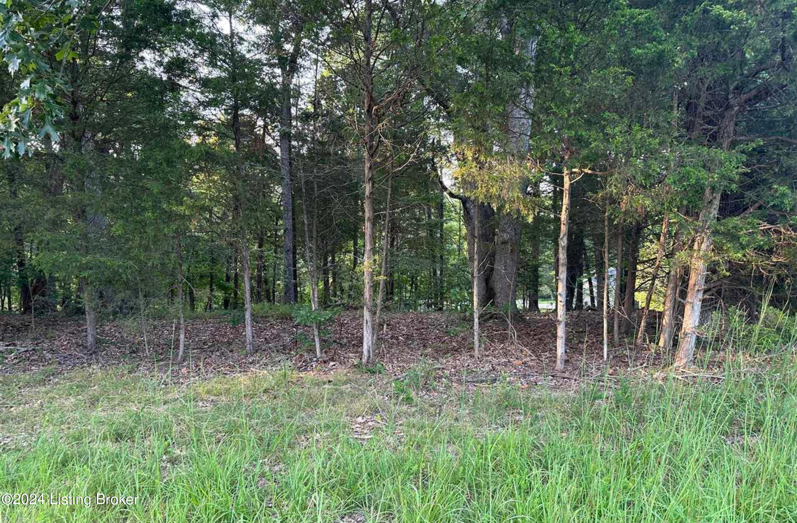 Lot #539 Strawberry Hill Drive Dr, Brandenburg, Kentucky image 1