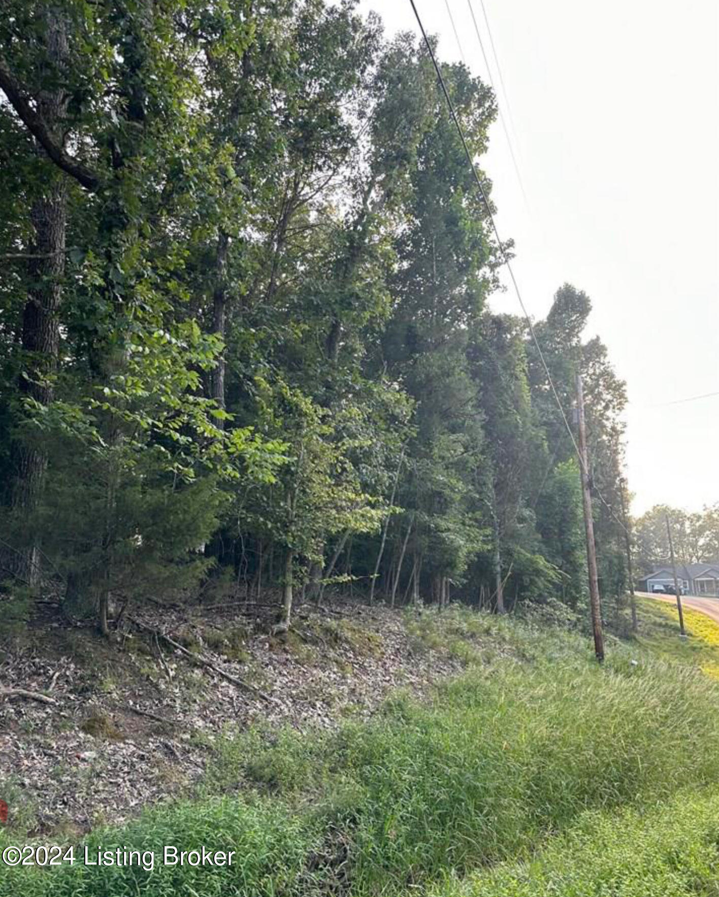 Lot #539 Strawberry Hill Drive Dr, Brandenburg, Kentucky image 8