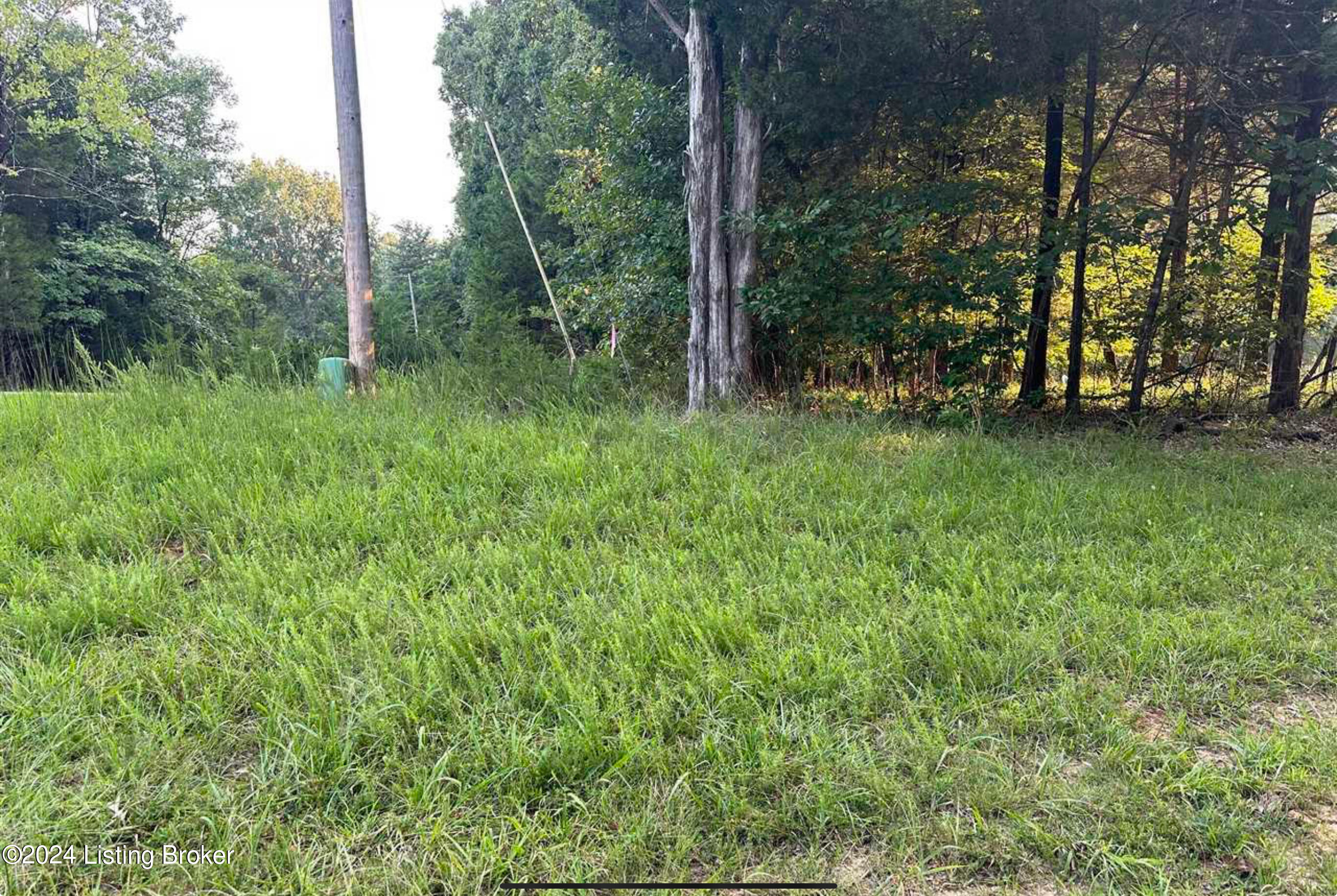 Lot #539 Strawberry Hill Drive Dr, Brandenburg, Kentucky image 3