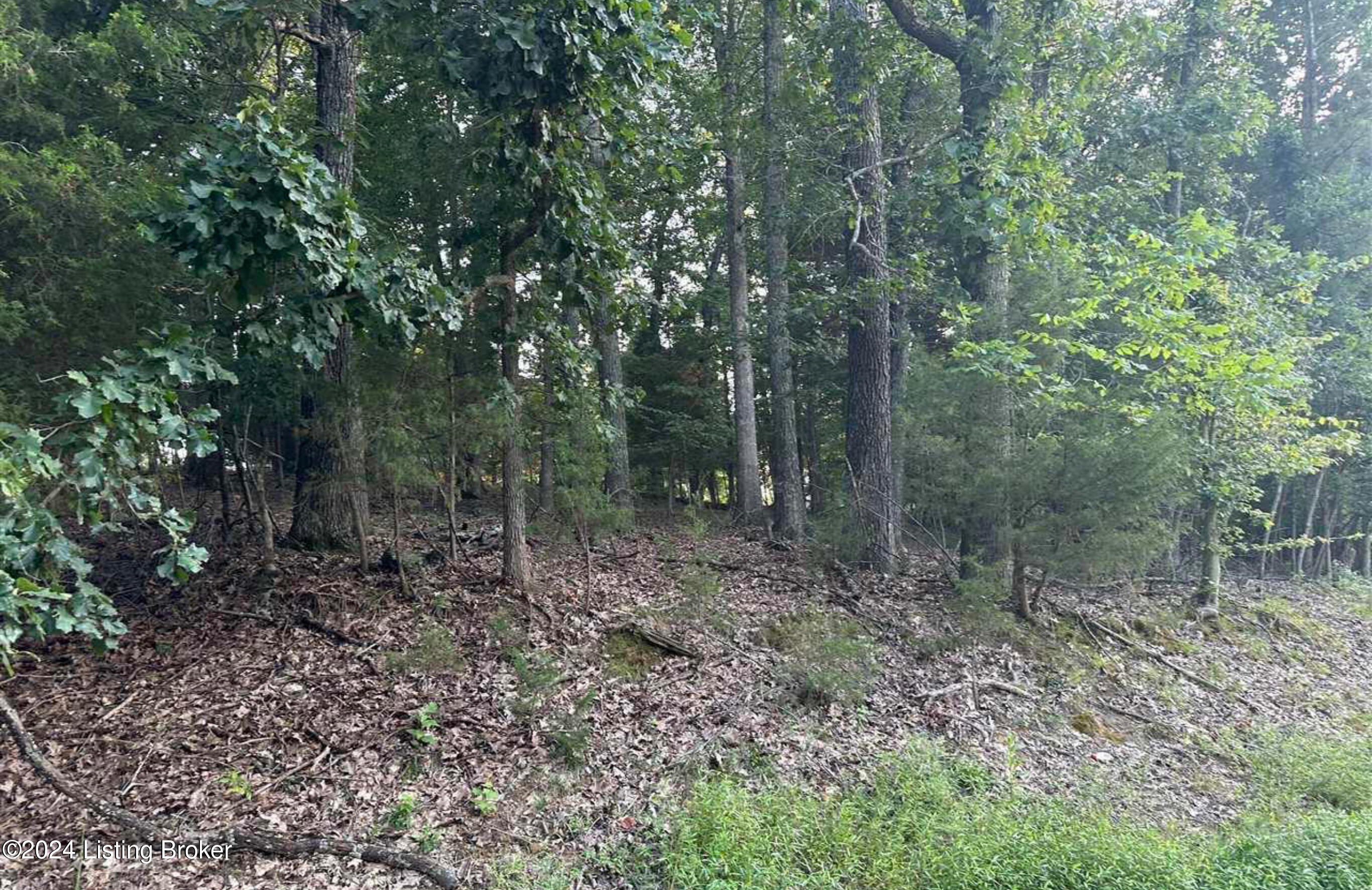 Lot #539 Strawberry Hill Drive Dr, Brandenburg, Kentucky image 15