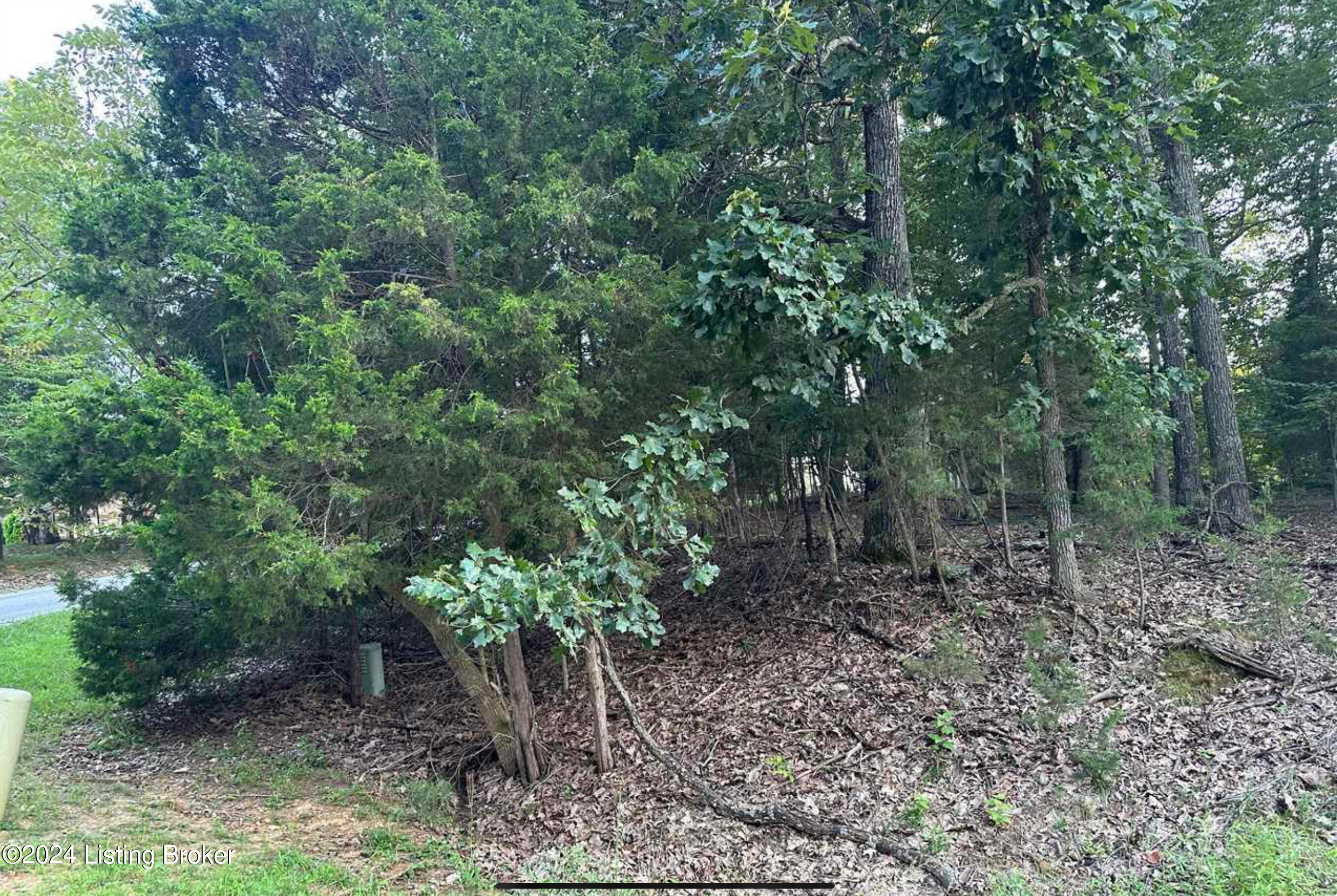 Lot #539 Strawberry Hill Drive Dr, Brandenburg, Kentucky image 12