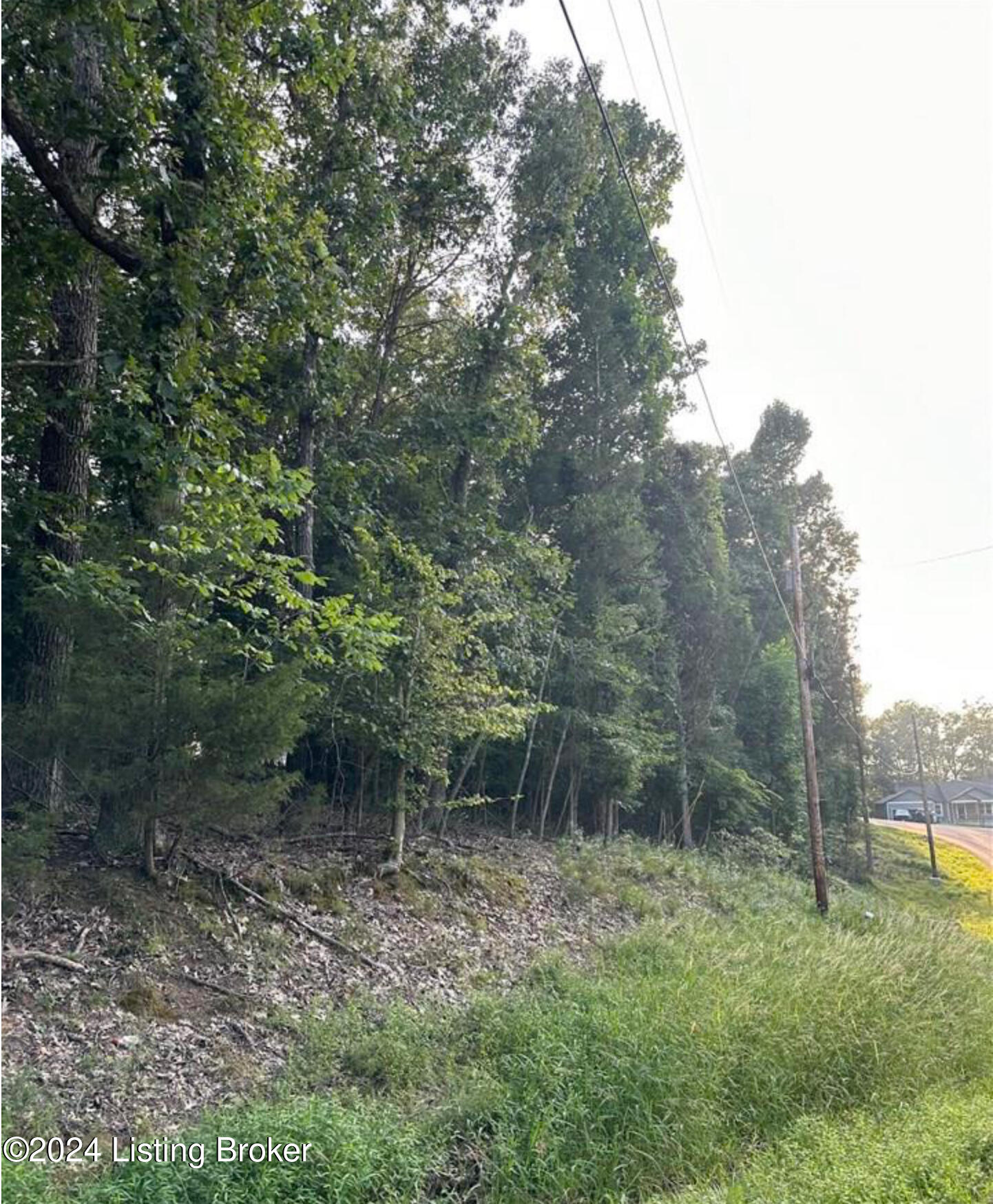 Lot #539 Strawberry Hill Drive Dr, Brandenburg, Kentucky image 2