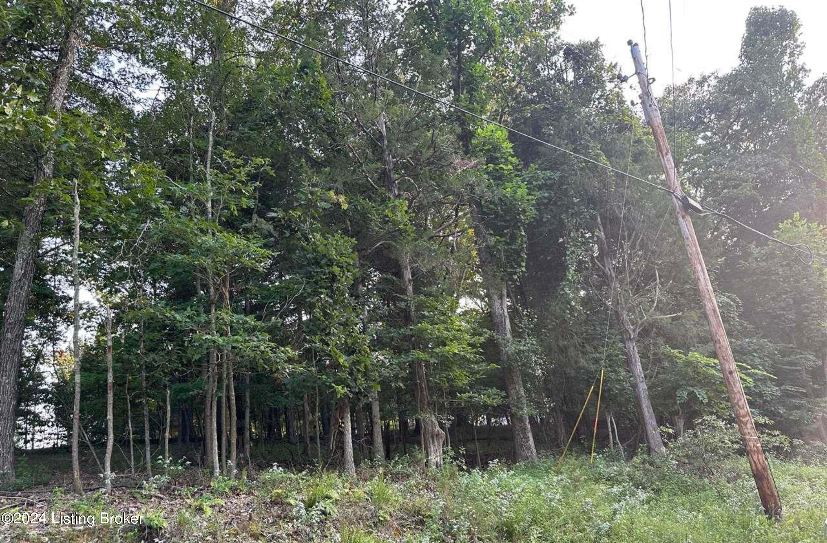Lot #539 Strawberry Hill Drive Dr, Brandenburg, Kentucky image 16