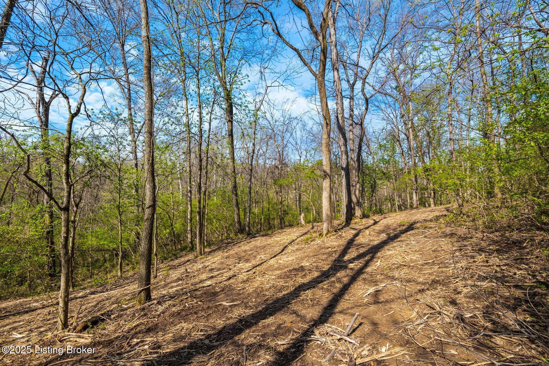 5001 Glengregor Rd, Glenview, Kentucky image 11