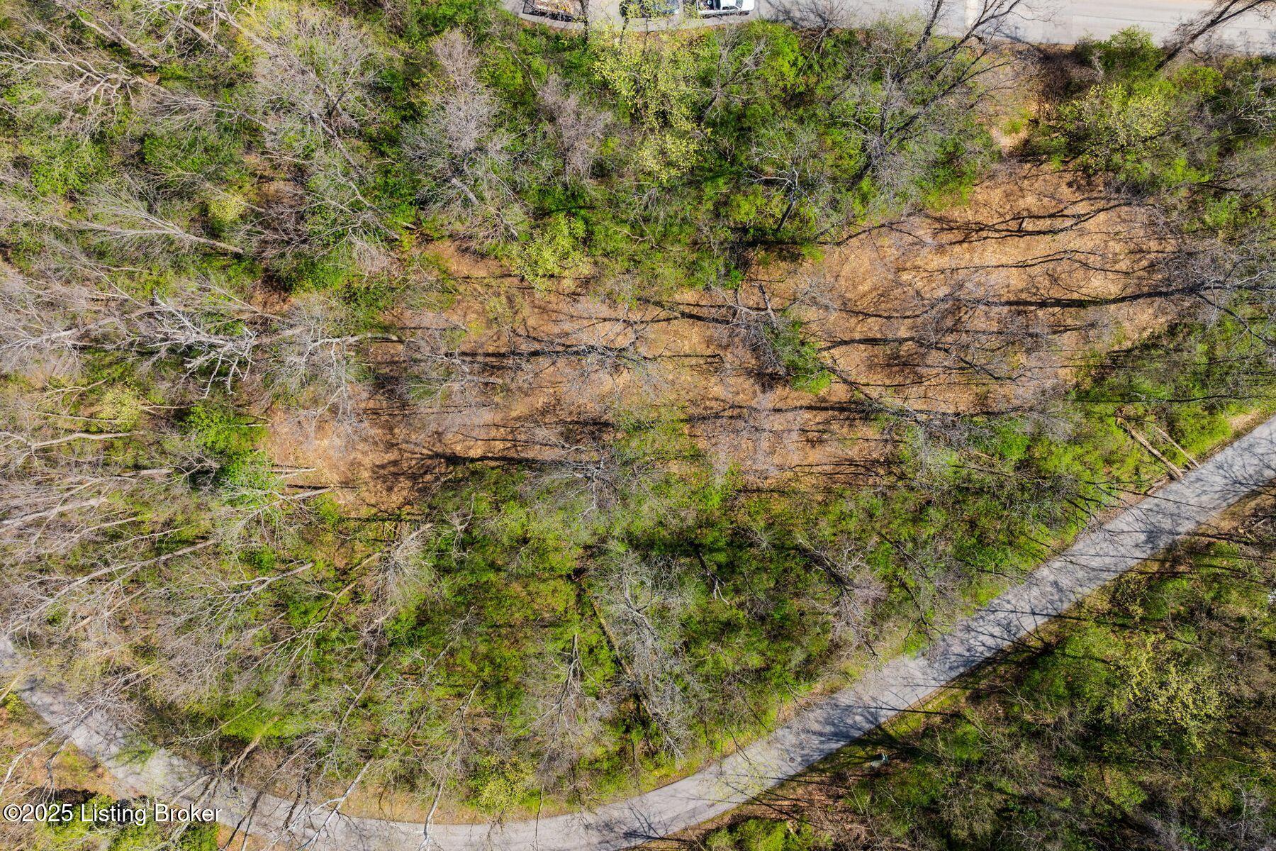5001 Glengregor Rd, Glenview, Kentucky image 5