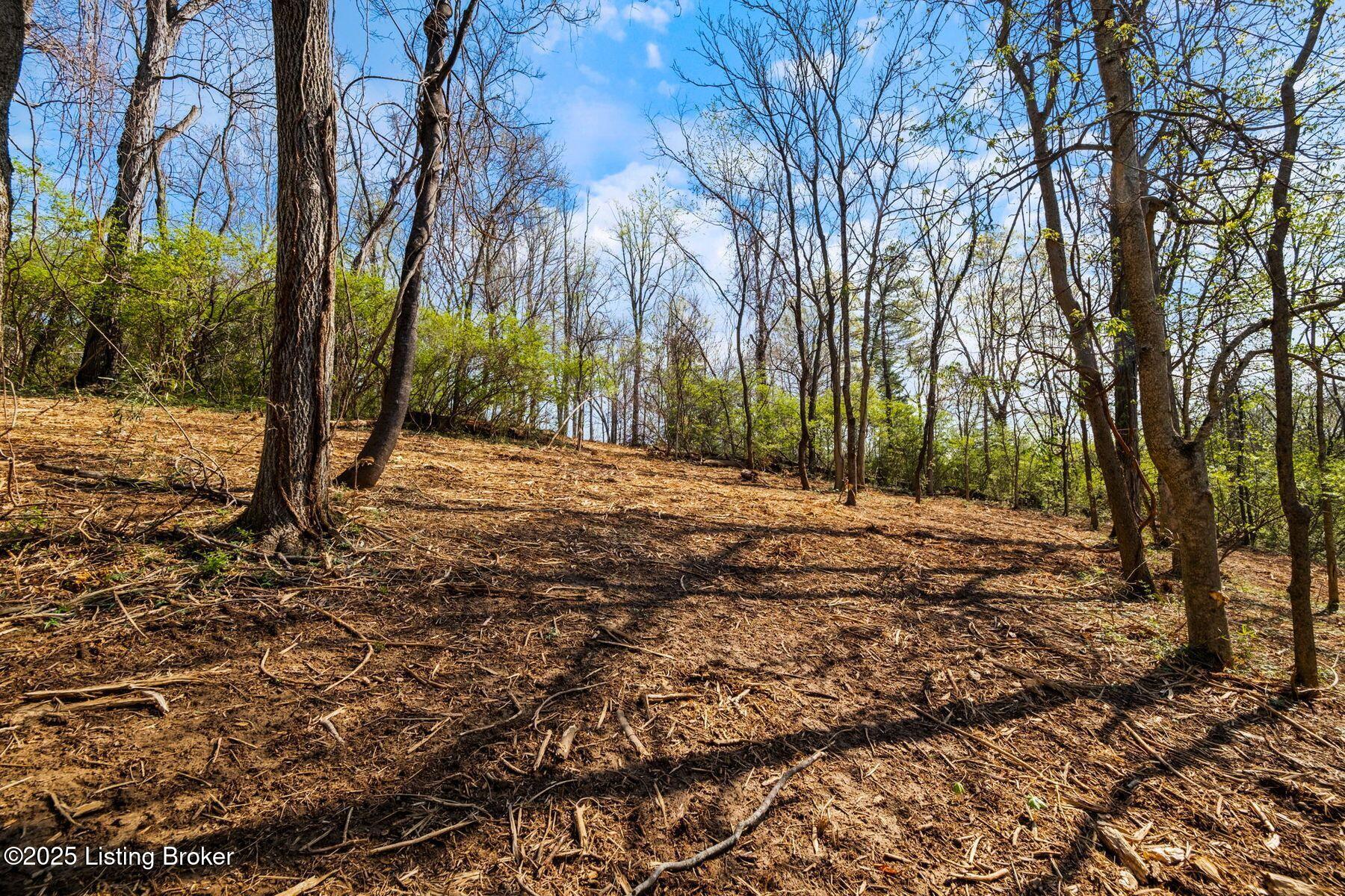 5001 Glengregor Rd, Glenview, Kentucky image 12