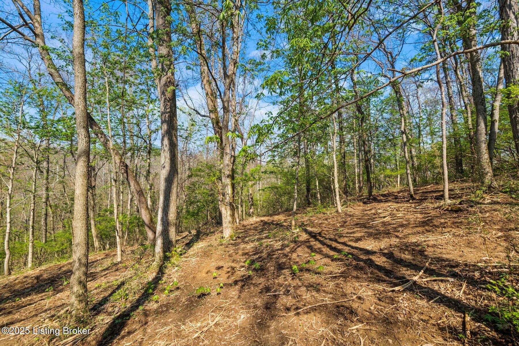 5001 Glengregor Rd, Glenview, Kentucky image 10