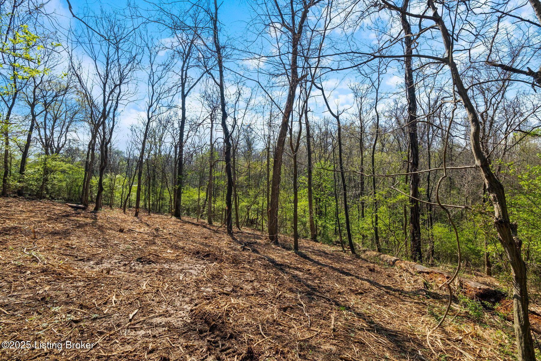 5001 Glengregor Rd, Glenview, Kentucky image 7