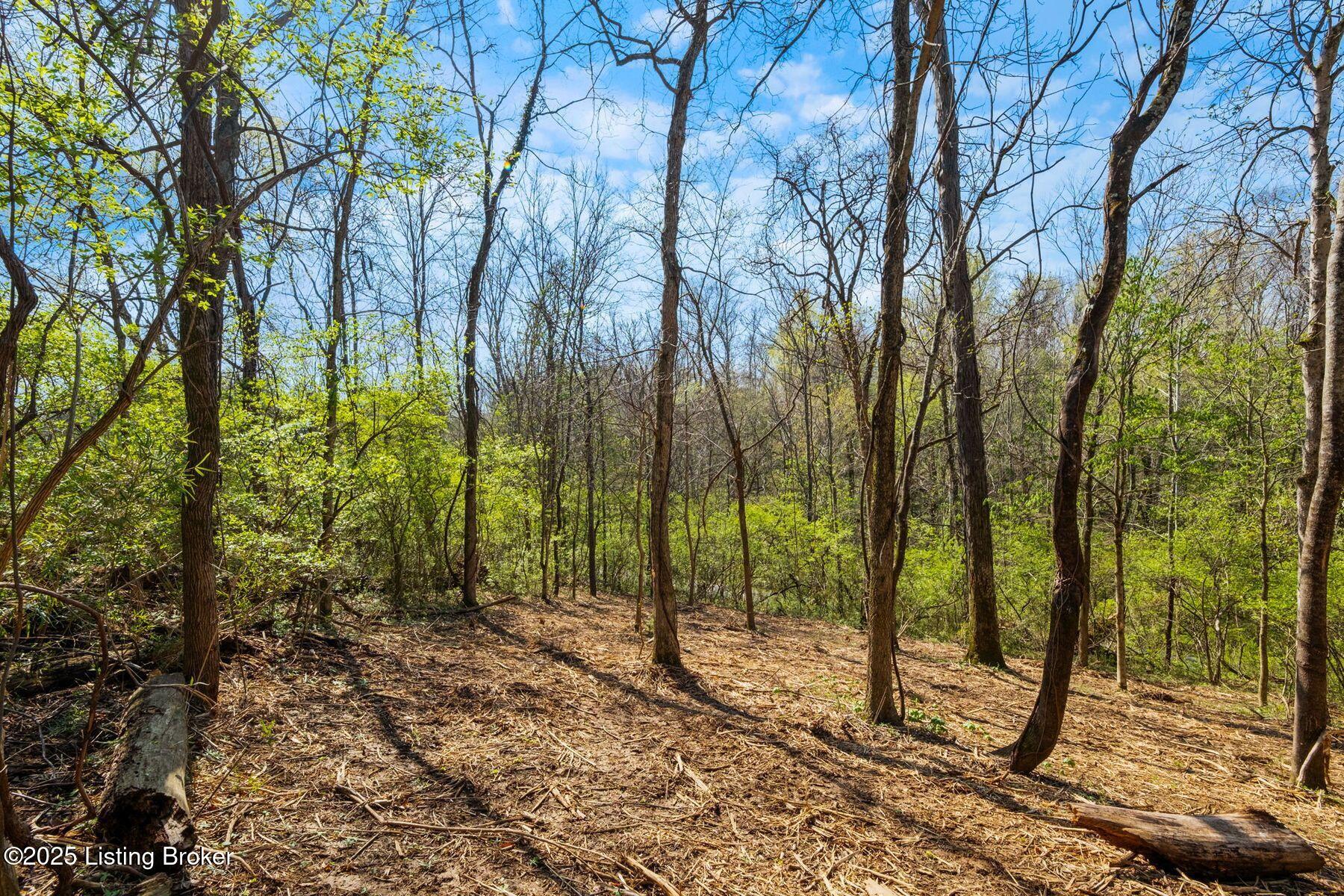 5001 Glengregor Rd, Glenview, Kentucky image 6