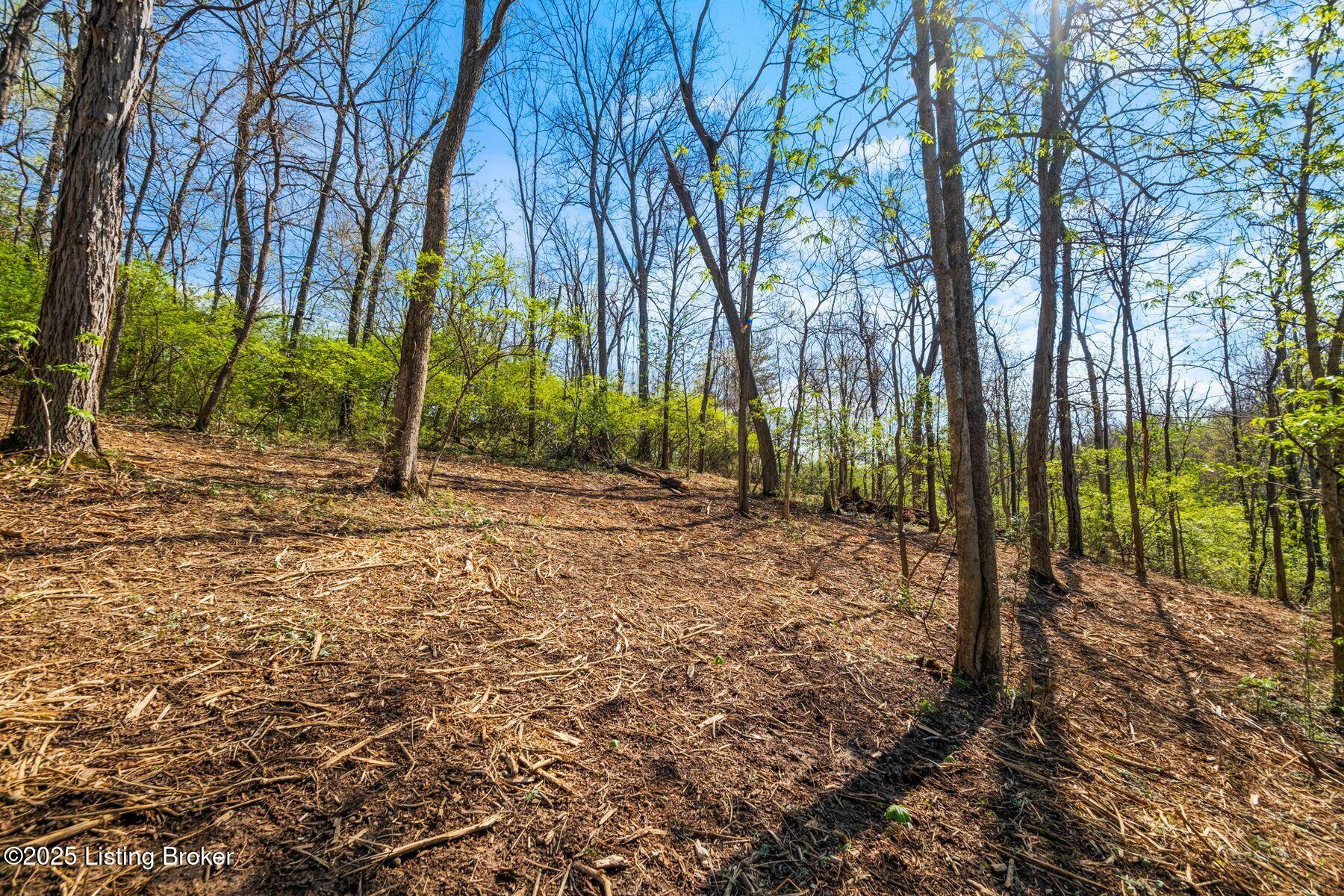 5001 Glengregor Rd, Glenview, Kentucky image 9