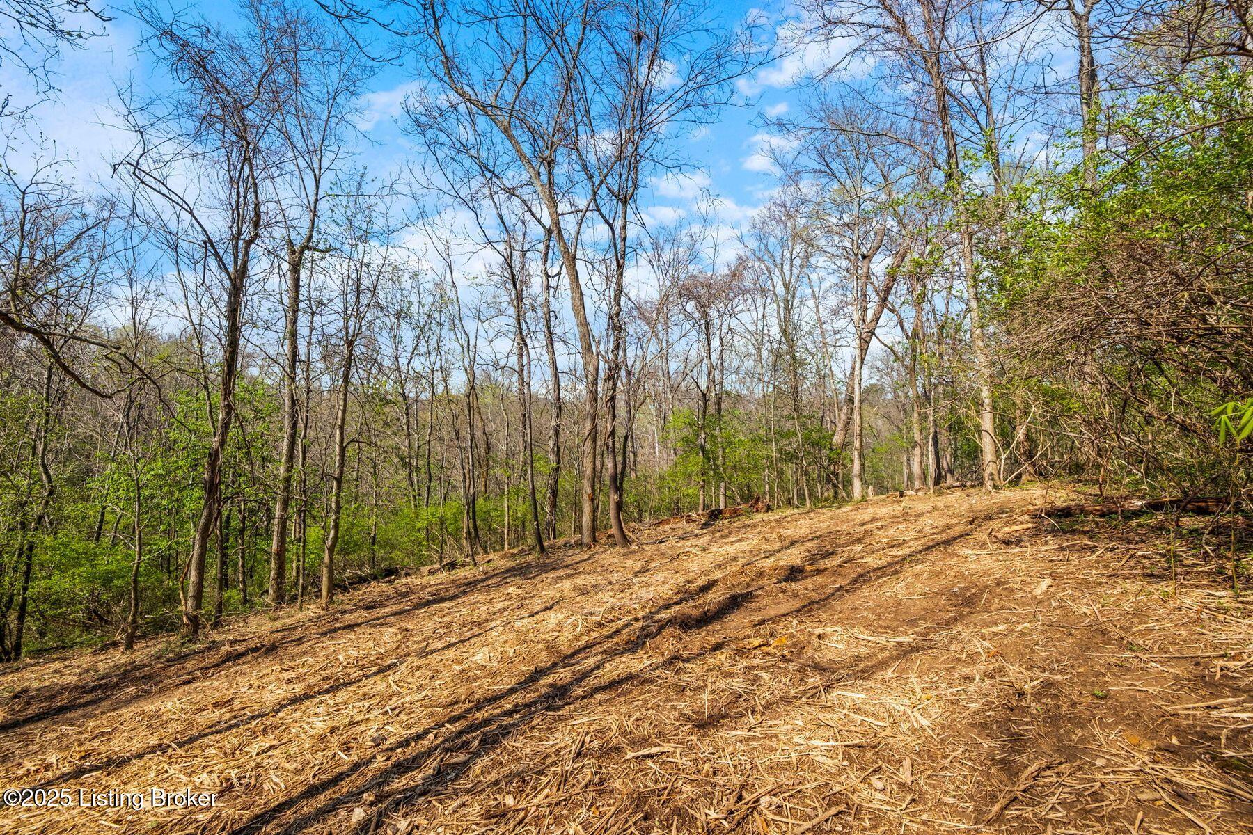5001 Glengregor Rd, Glenview, Kentucky image 8