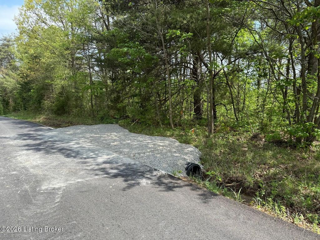 Photo of Lot 3 Shores Rd, Falls Of Rough, KY 40119 (MLS # 1714803)