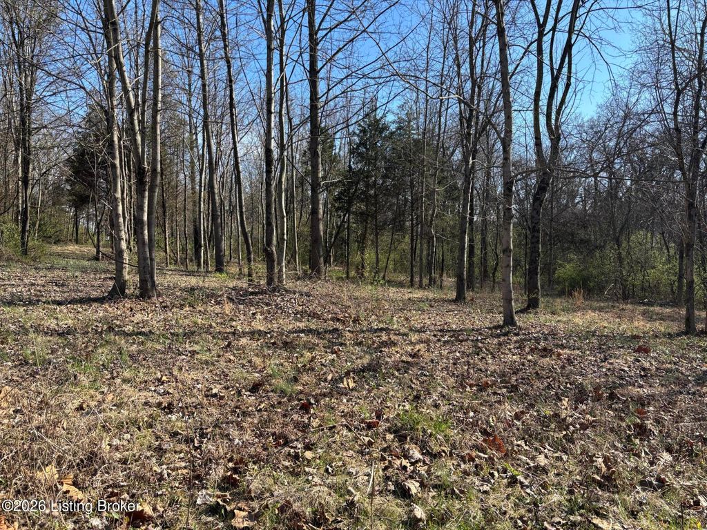 Photo of 16214 Shelbyville Rd, Louisville, KY 40245 (MLS # 1711862)