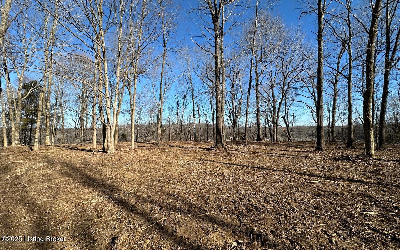 L8 1126 Thomason Cemetery Rd, Leitchfield, Kentucky image 4