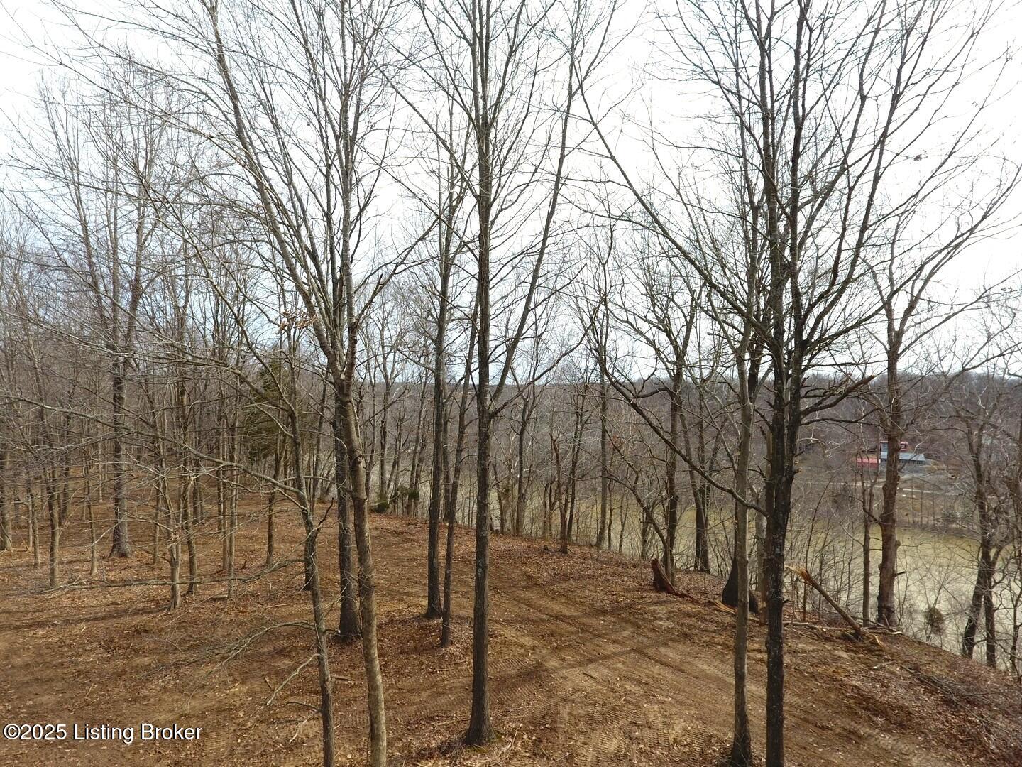L8 1126 Thomason Cemetery Rd, Leitchfield, Kentucky image 9