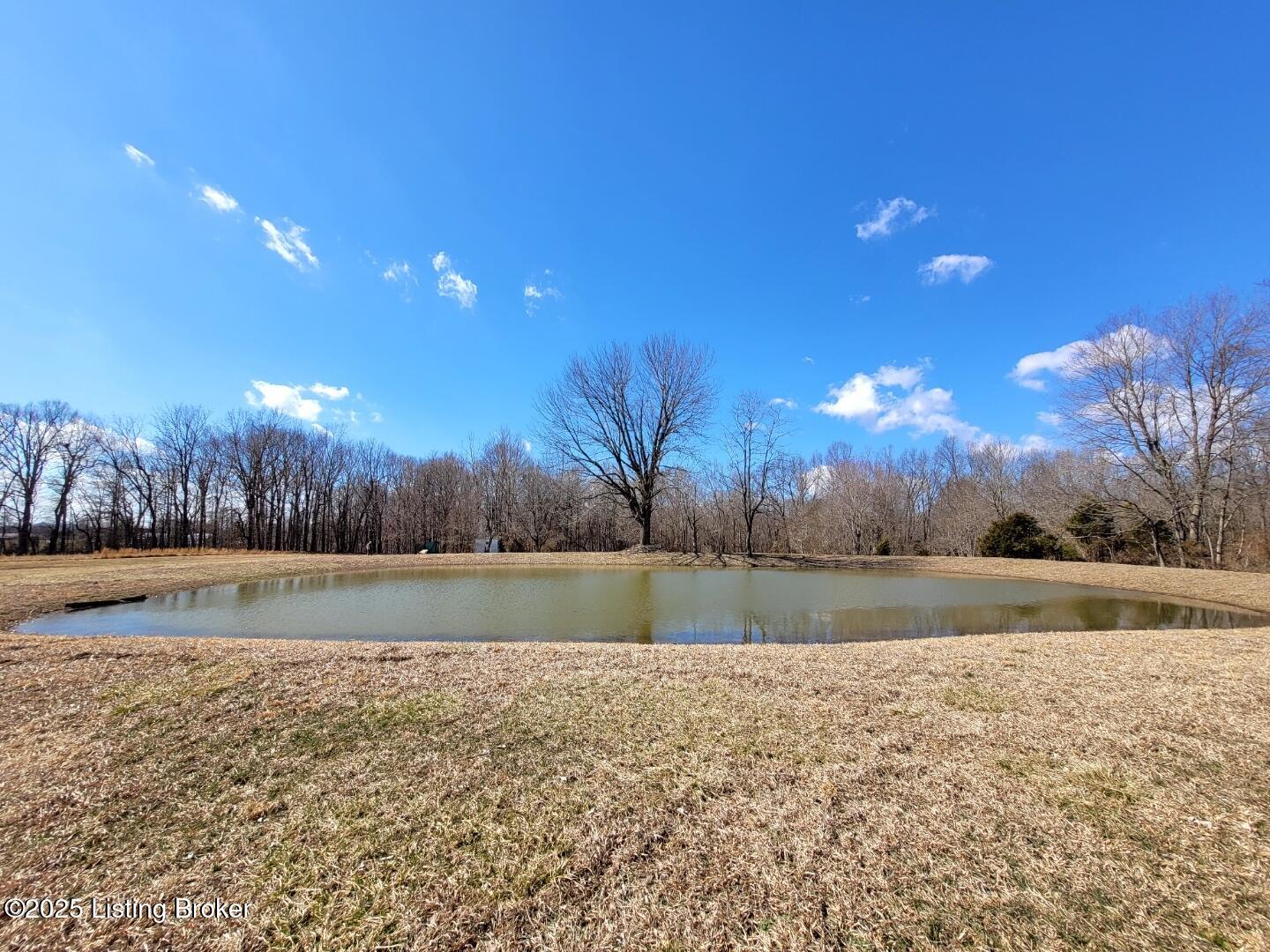 139 Morrison Clifty Rd, Leitchfield, Kentucky image 2