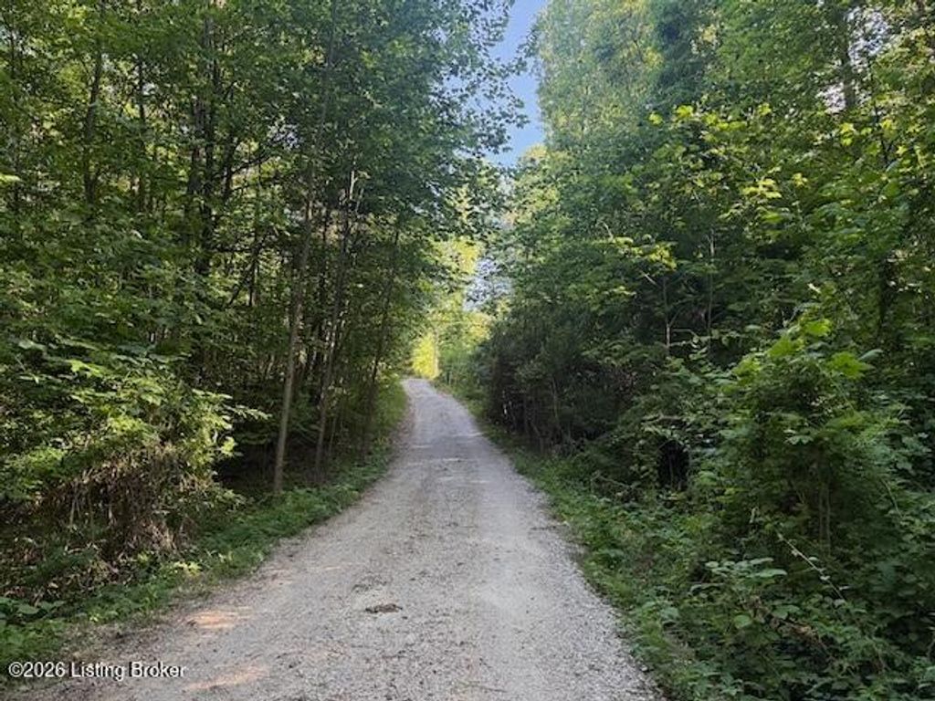 Photo of 725 Christian Church Rd, Brandenburg, KY 40108 (MLS # 1717071)