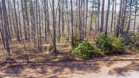 Vacant Land For Sale - 11 Marina Point Ln<br/> Falls Of Rough, KY 40119