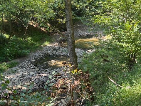 Vacant Land For Sale - 1590 Crooked Creek Rd<br/> Anderson County, Lawrenceburg, KY 40342