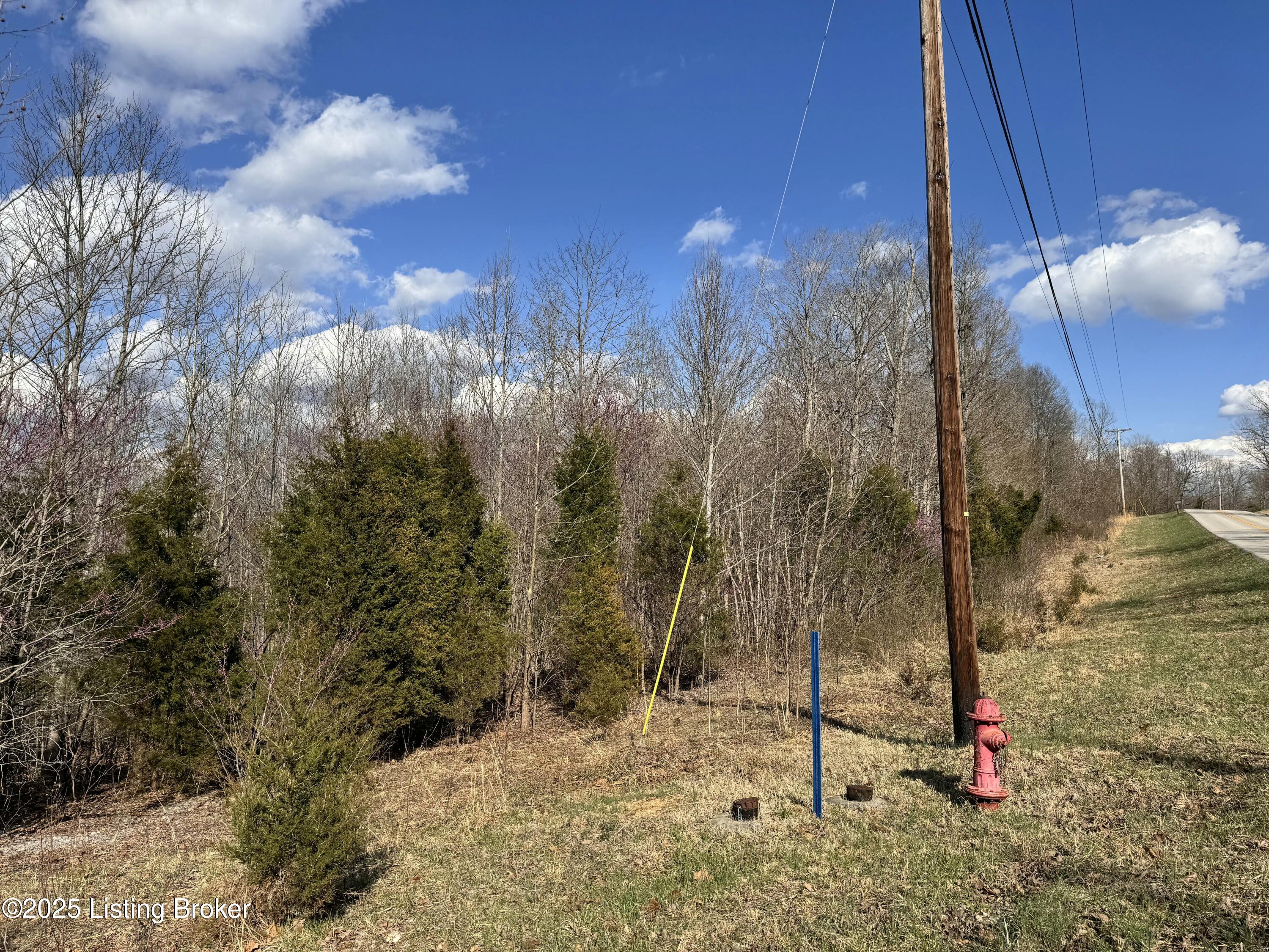 Cedar Flat Rd, Battletown, Kentucky image 3