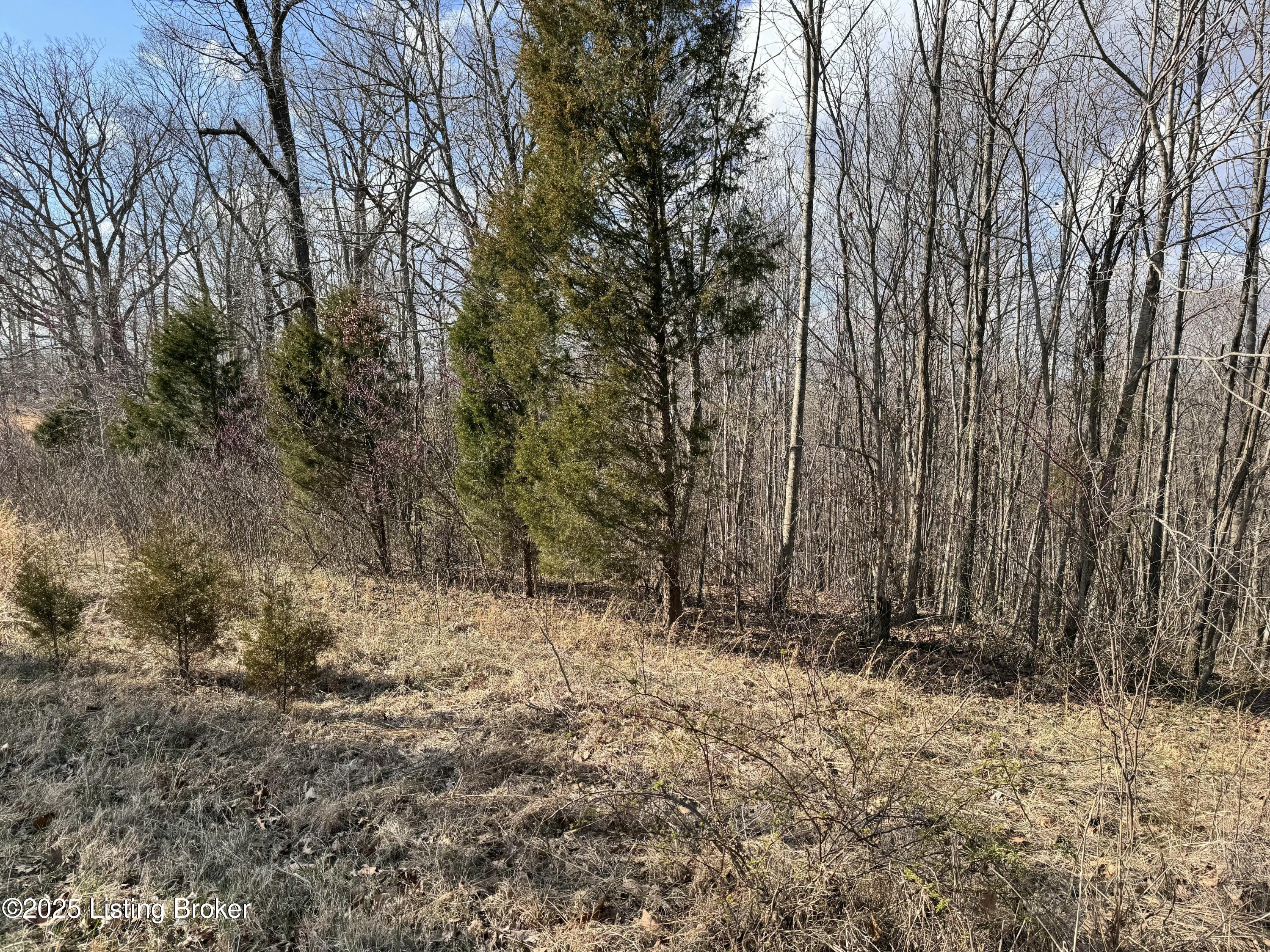 Cedar Flat Rd, Battletown, Kentucky image 4