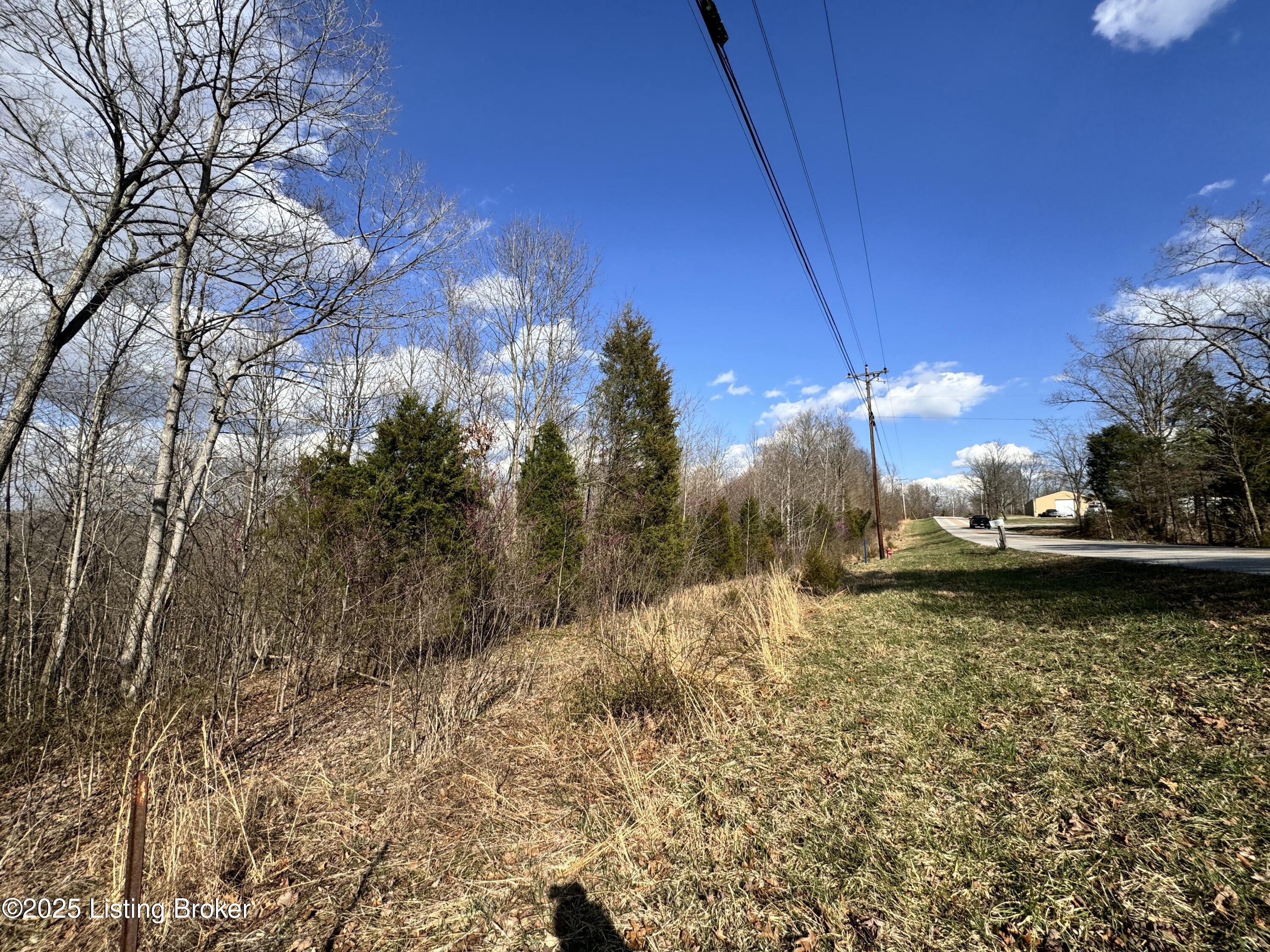 Cedar Flat Rd, Battletown, Kentucky image 5