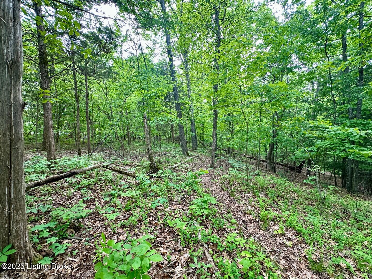 2212 Duff Rd, Leitchfield, Pennsylvania image 8