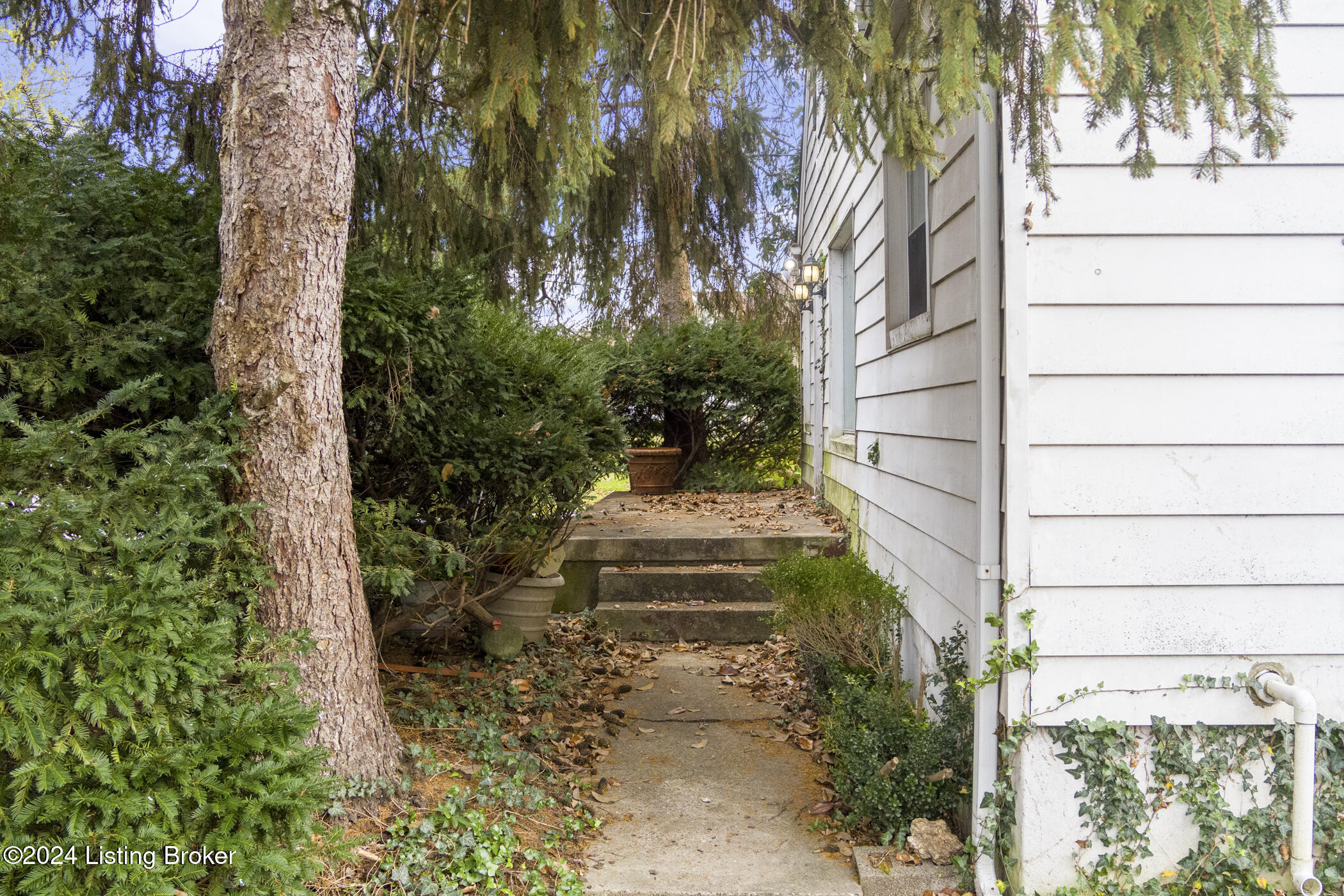 1326 Phyllis Ave, Louisville, Kentucky image 5