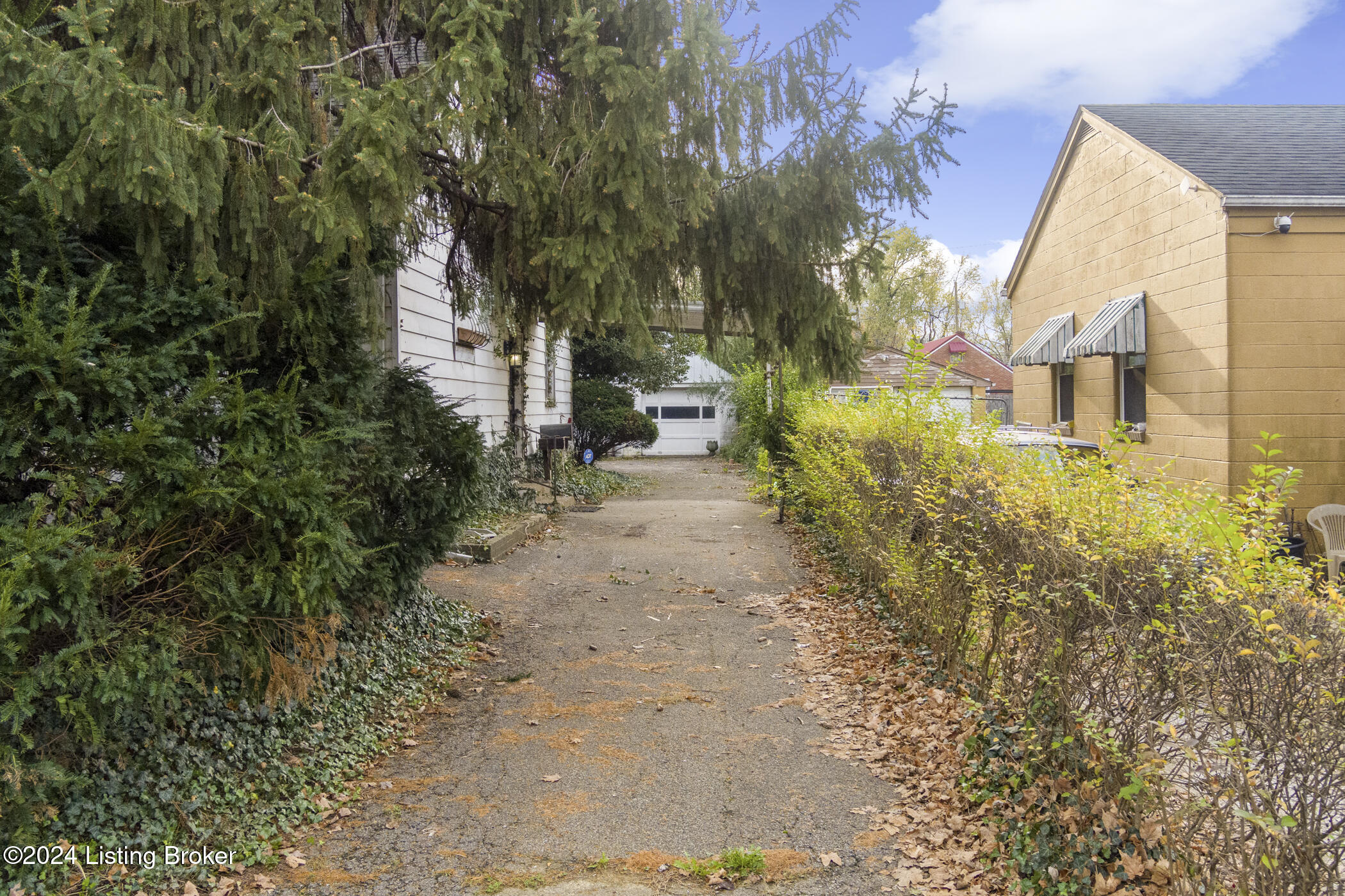 1326 Phyllis Ave, Louisville, Kentucky image 4